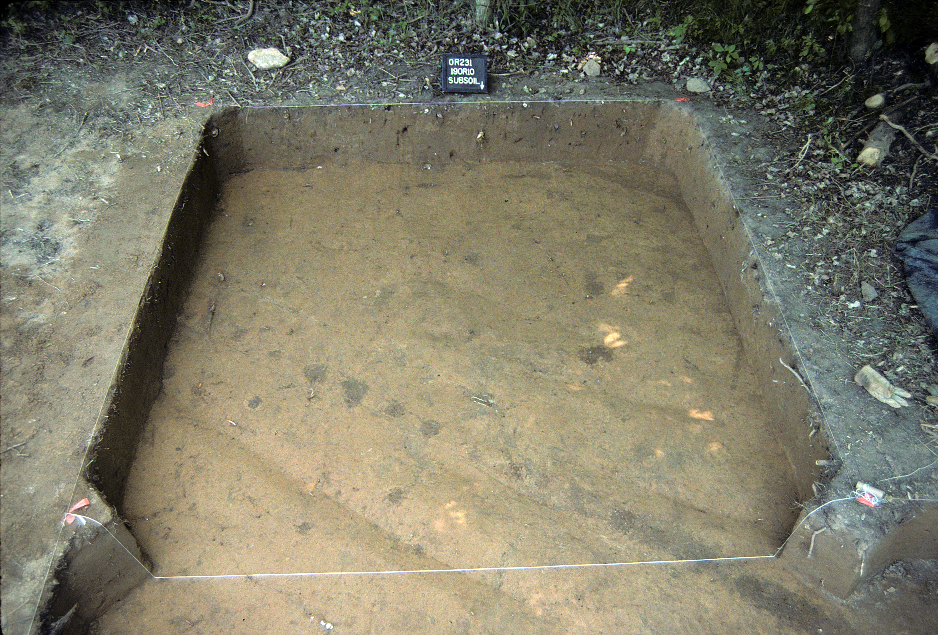 Figure 726. Sq. 190R10 at top of subsoil (view to south).