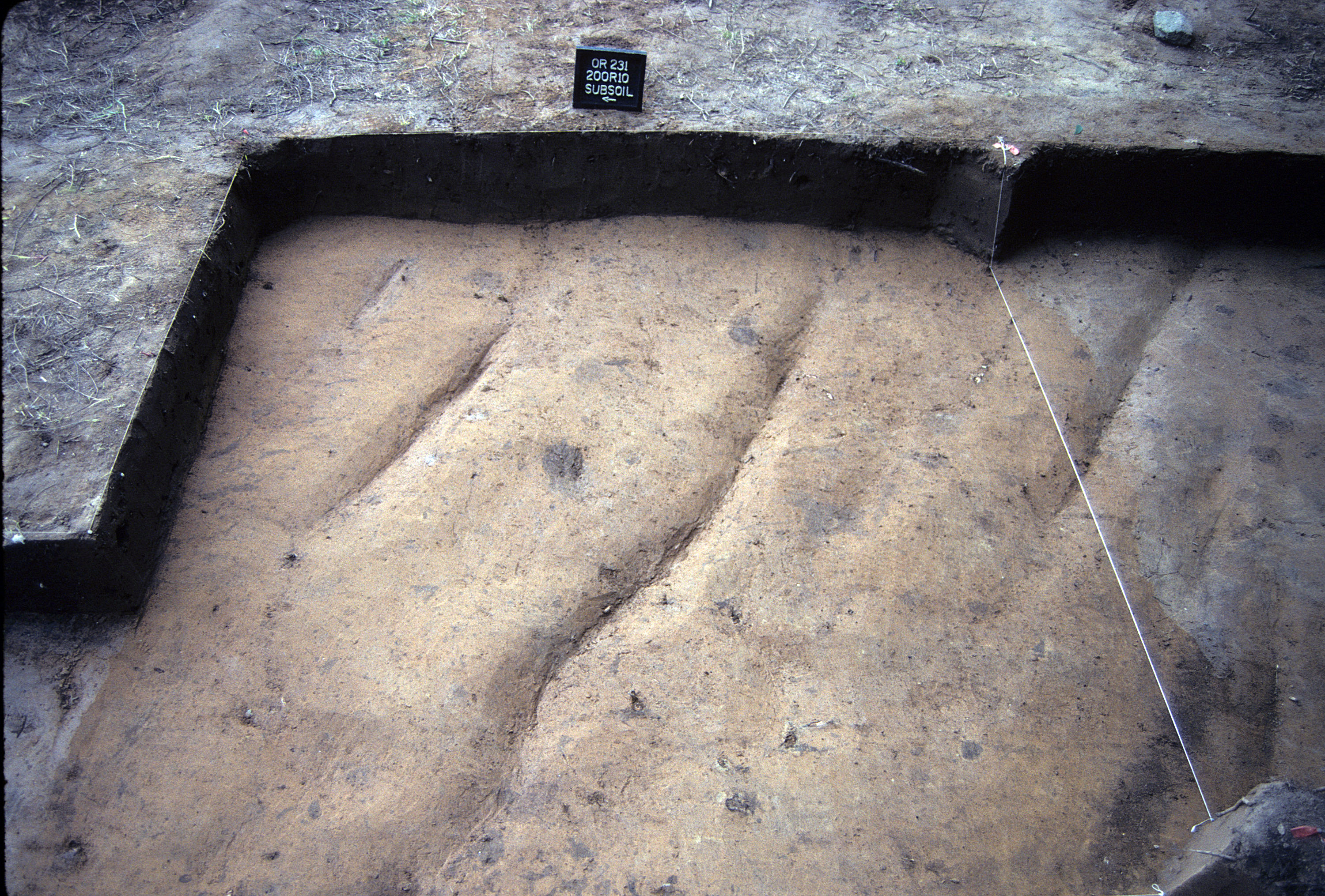 Figure 746. Sq. 200R10 at top of subsoil (view to east).