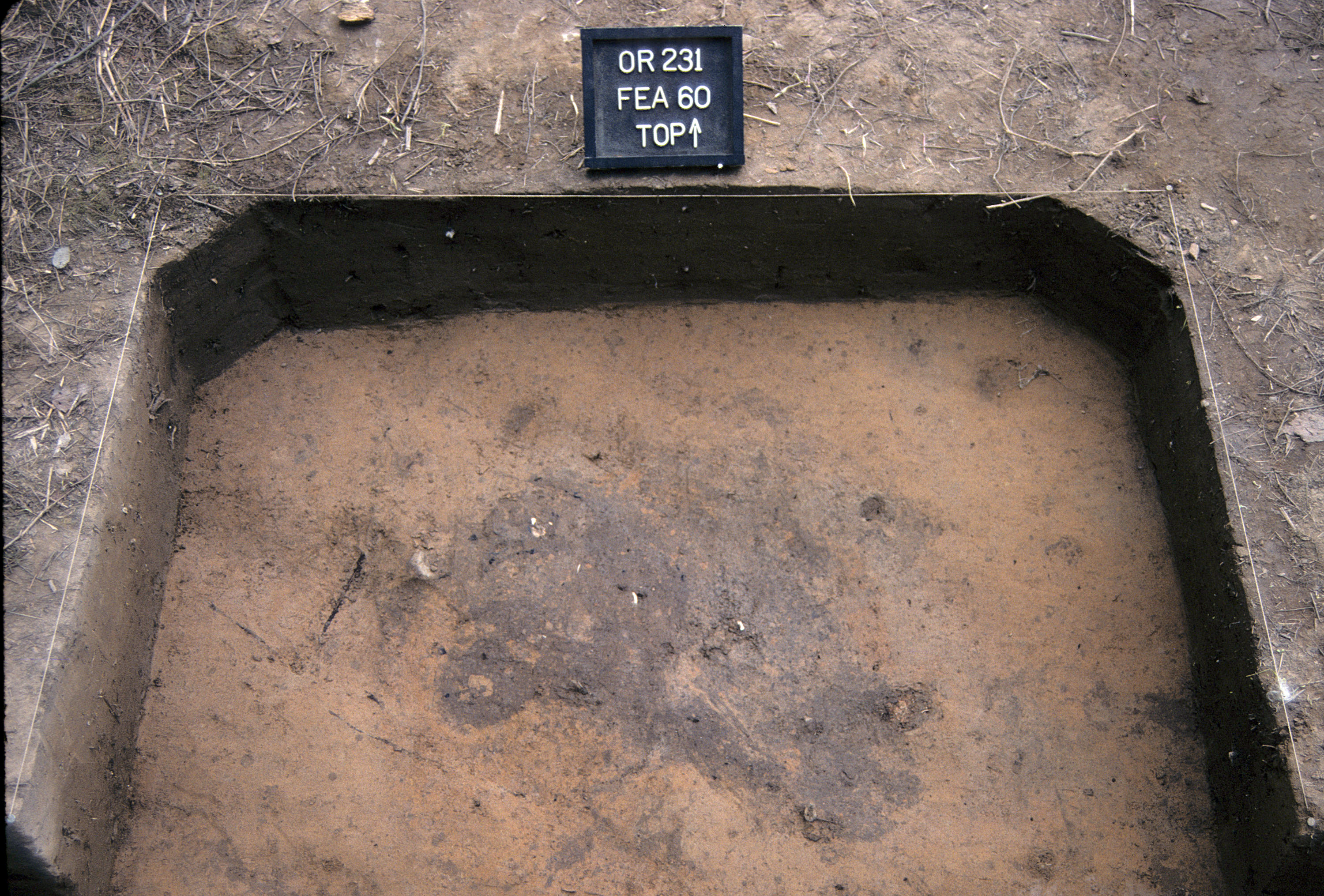 Figure 694. Feature 60 (Burial 27) before excavation (view to north).