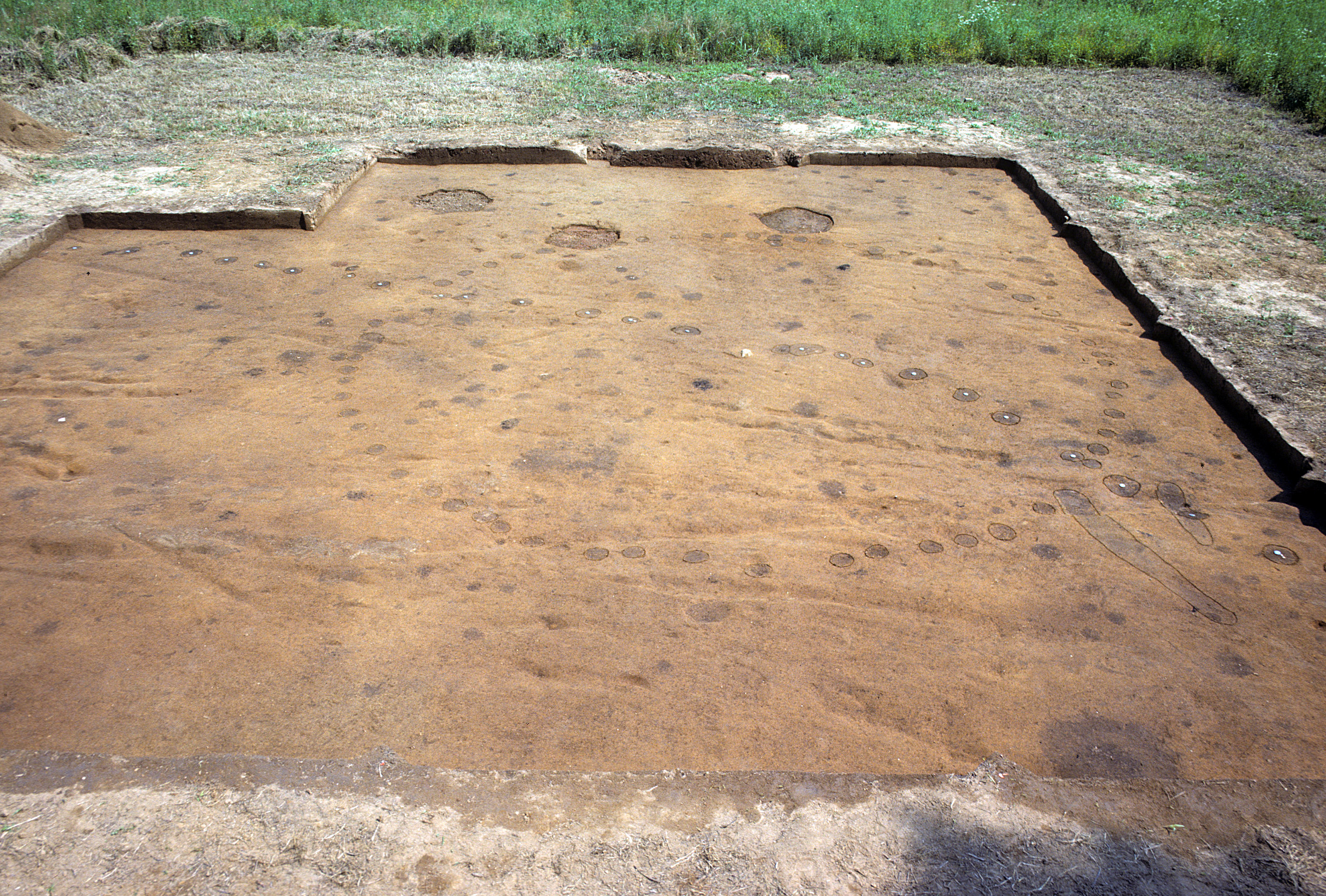 A circular ring of post-hole stains at the nearby  Wall site, showing where a house once stood. 