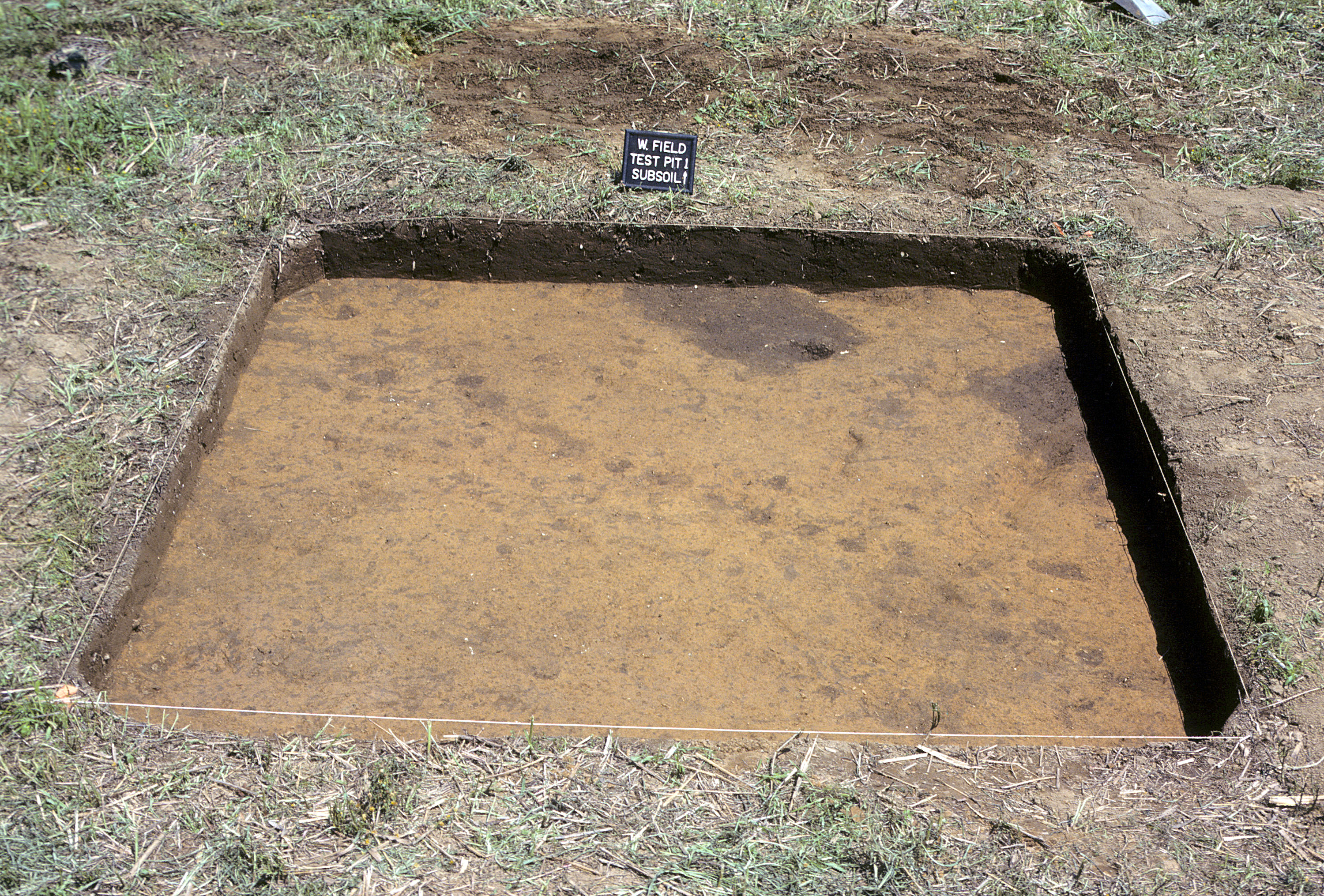 Figure 11. Sq. 270R90 at top of subsoil (view to north).
