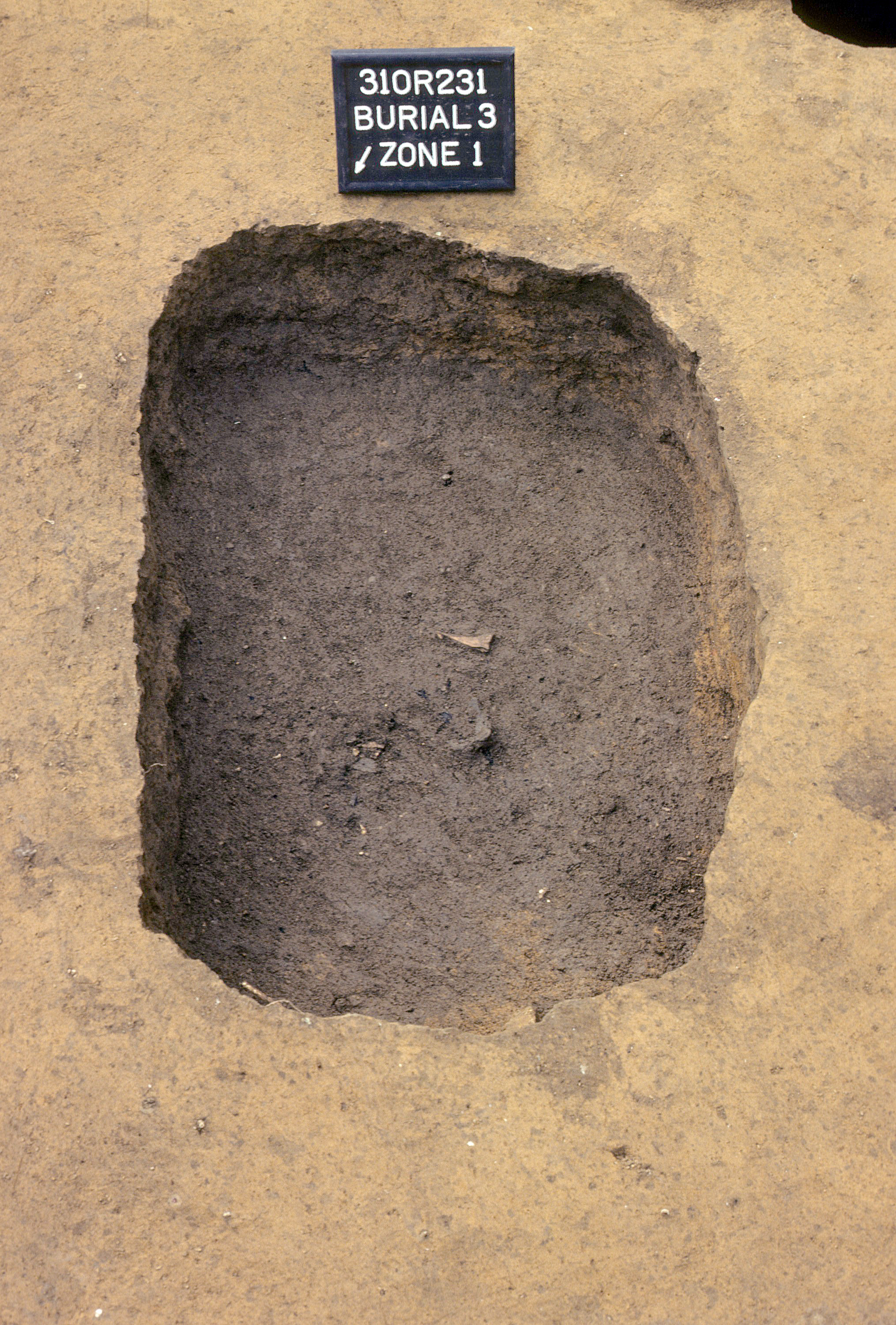 Figure 510. Burial 3 with fill partially removed (view to southeast).