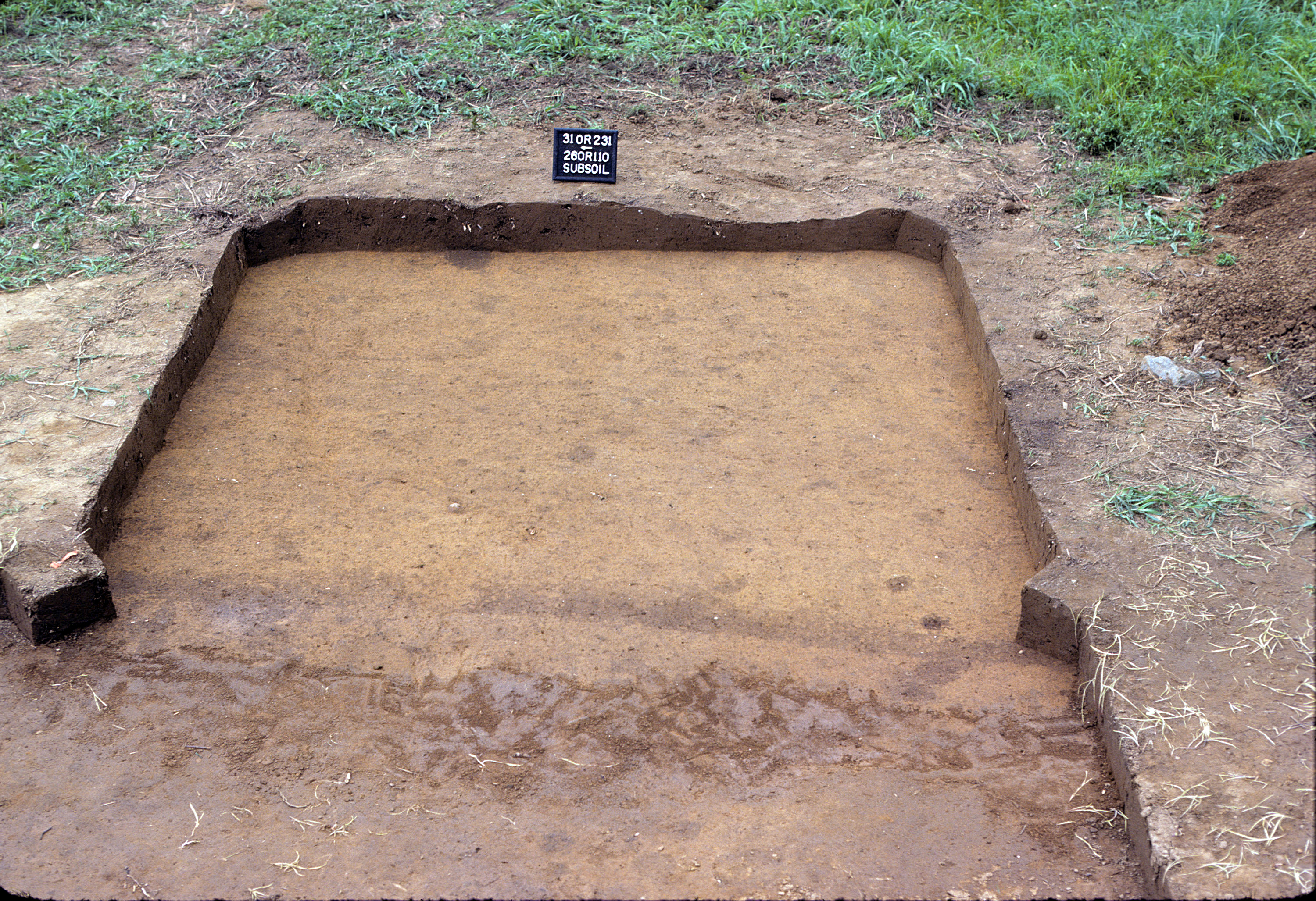 Figure 901. Sq. 260R110 at top of subsoil (view to east).