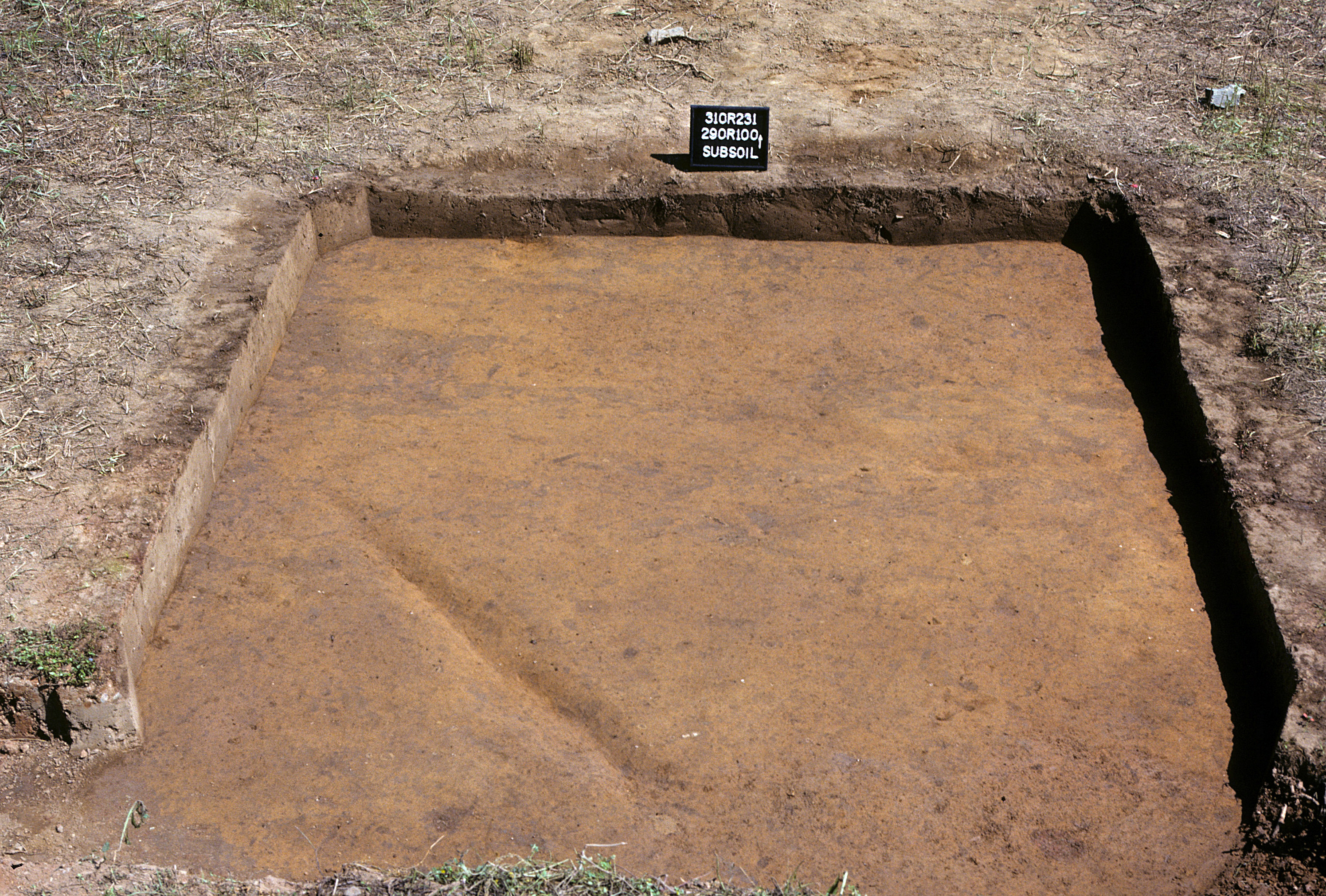 Figure 973. Sq. 290R100 at top of subsoil (view to north).