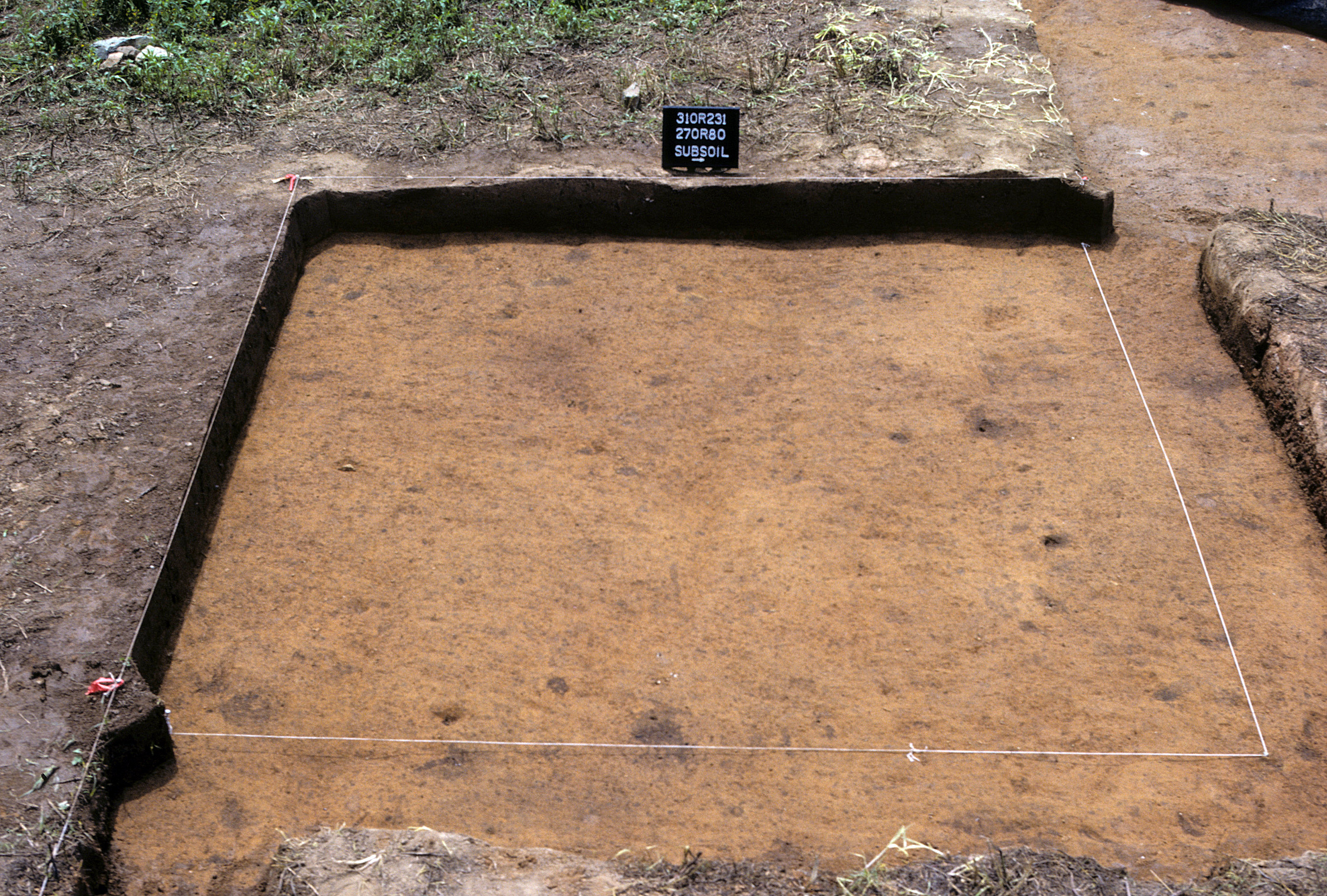 Figure 941. Sq. 270R80 at top of subsoil (view to west).