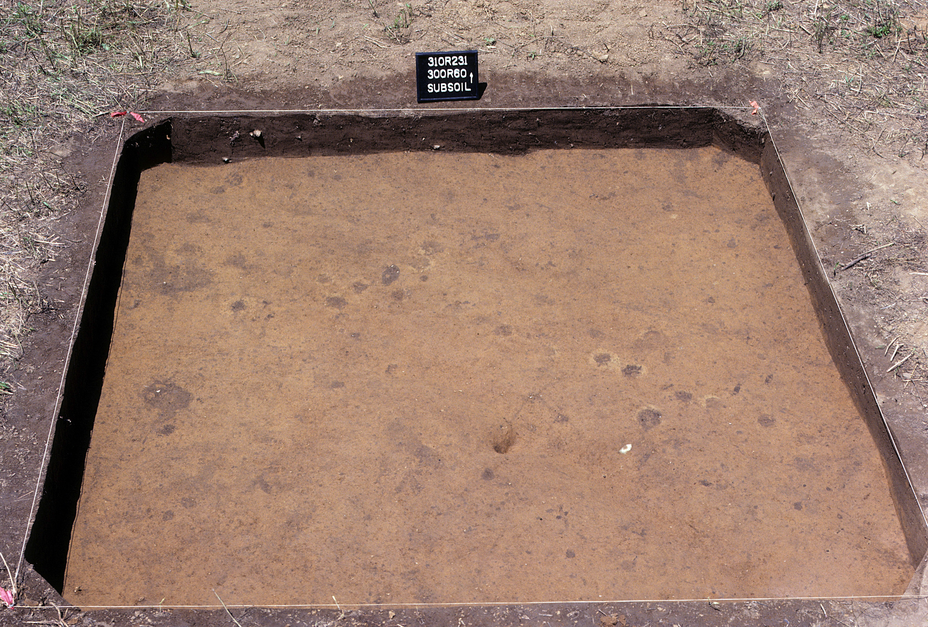 Figure 1003. Sq. 300R60 at top of subsoil (view to north).