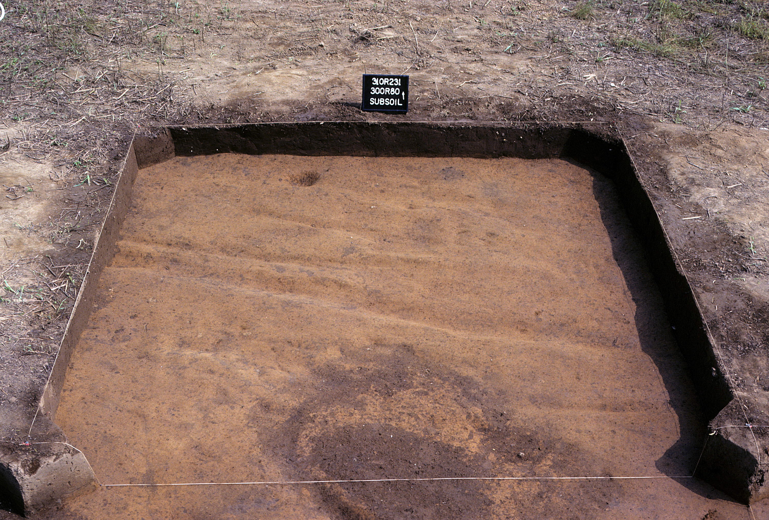 Figure 1007. Sq. 300R80 at top of subsoil (view to north).