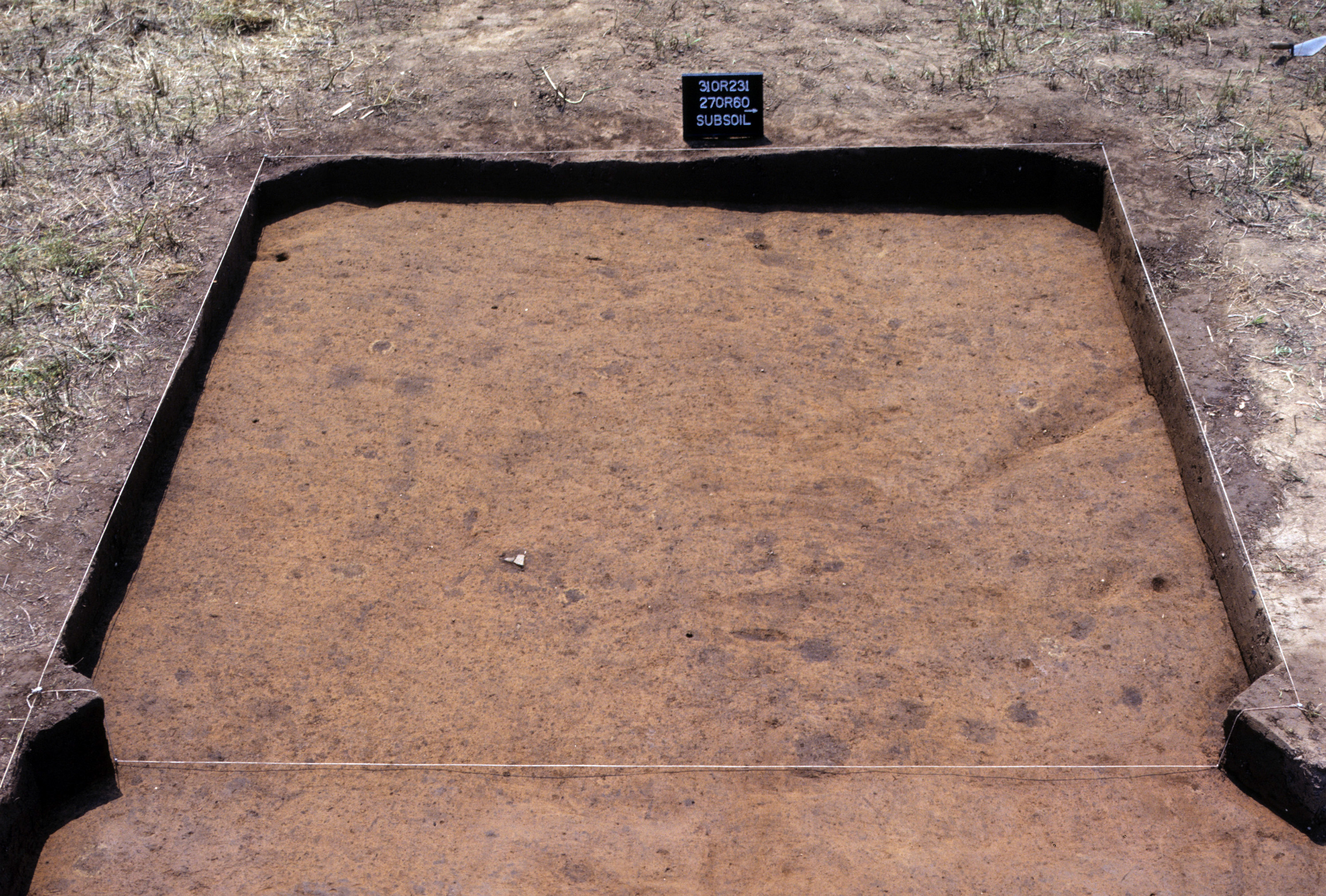 Figure 937. Sq. 270R60 at top of subsoil (view to west).