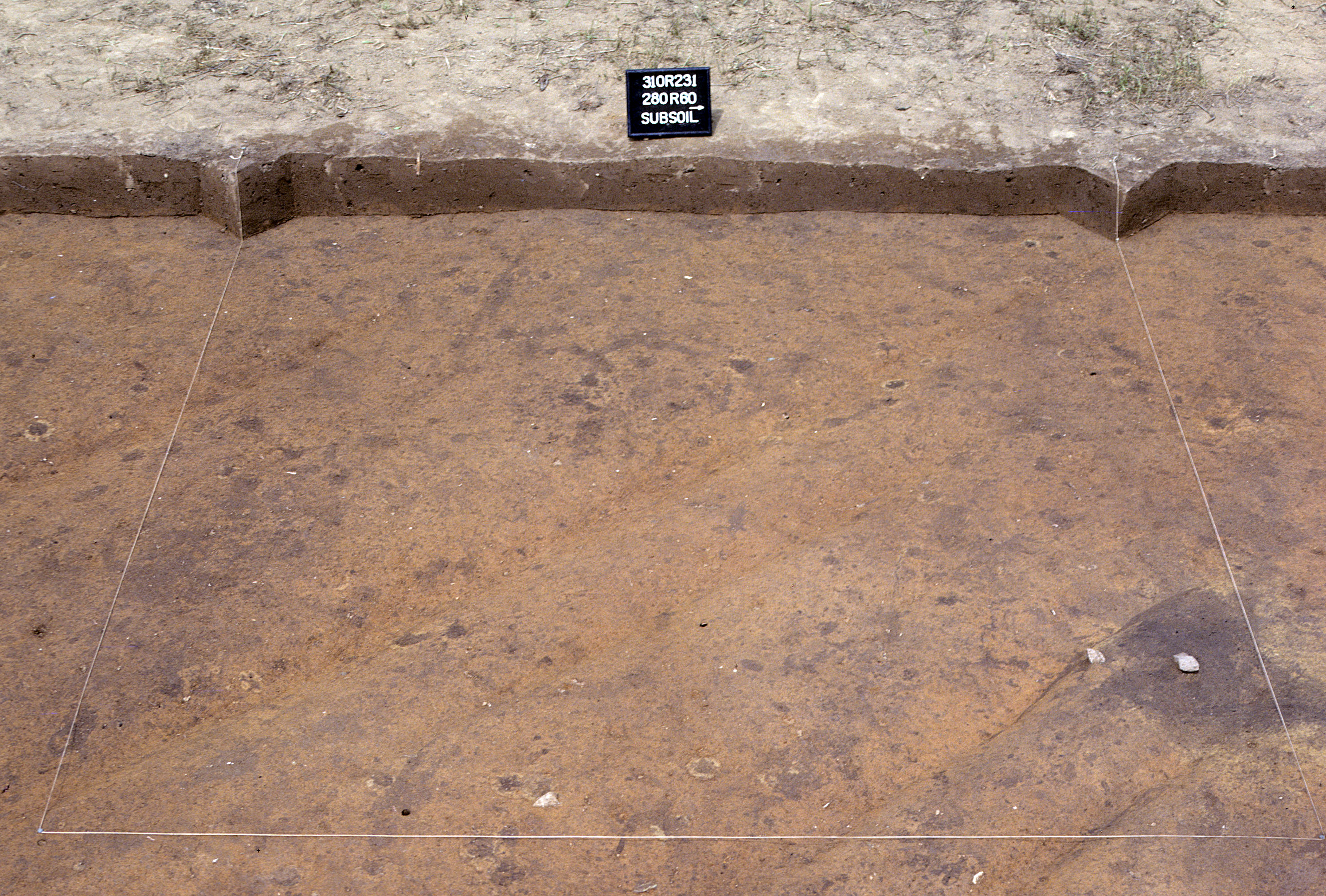 Figure 960. Sq. 280R60 at top of subsoil (view to west).