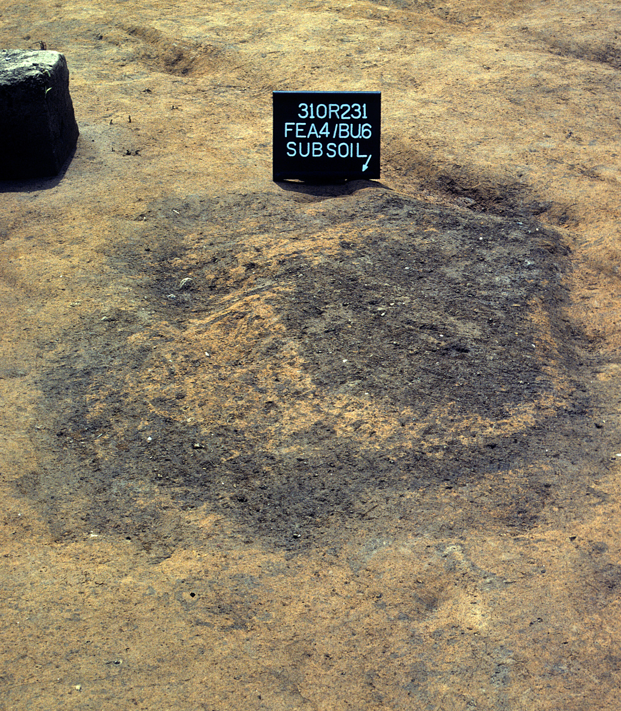 Figure 632. Feature 4 (Burial 6) before excavation (view to southeast).