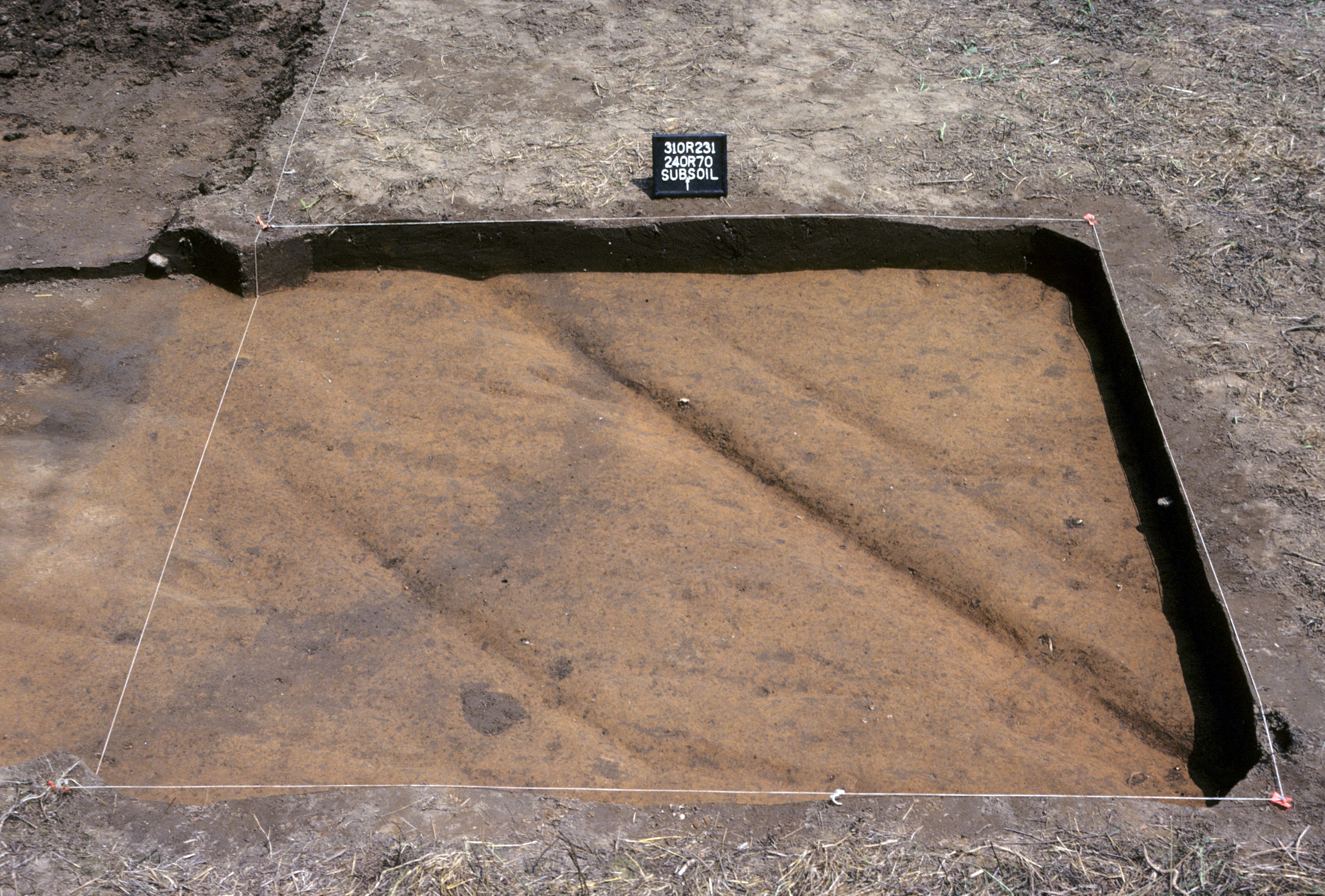 Figure 861. Sq. 240R70 at top of subsoil (view to north).