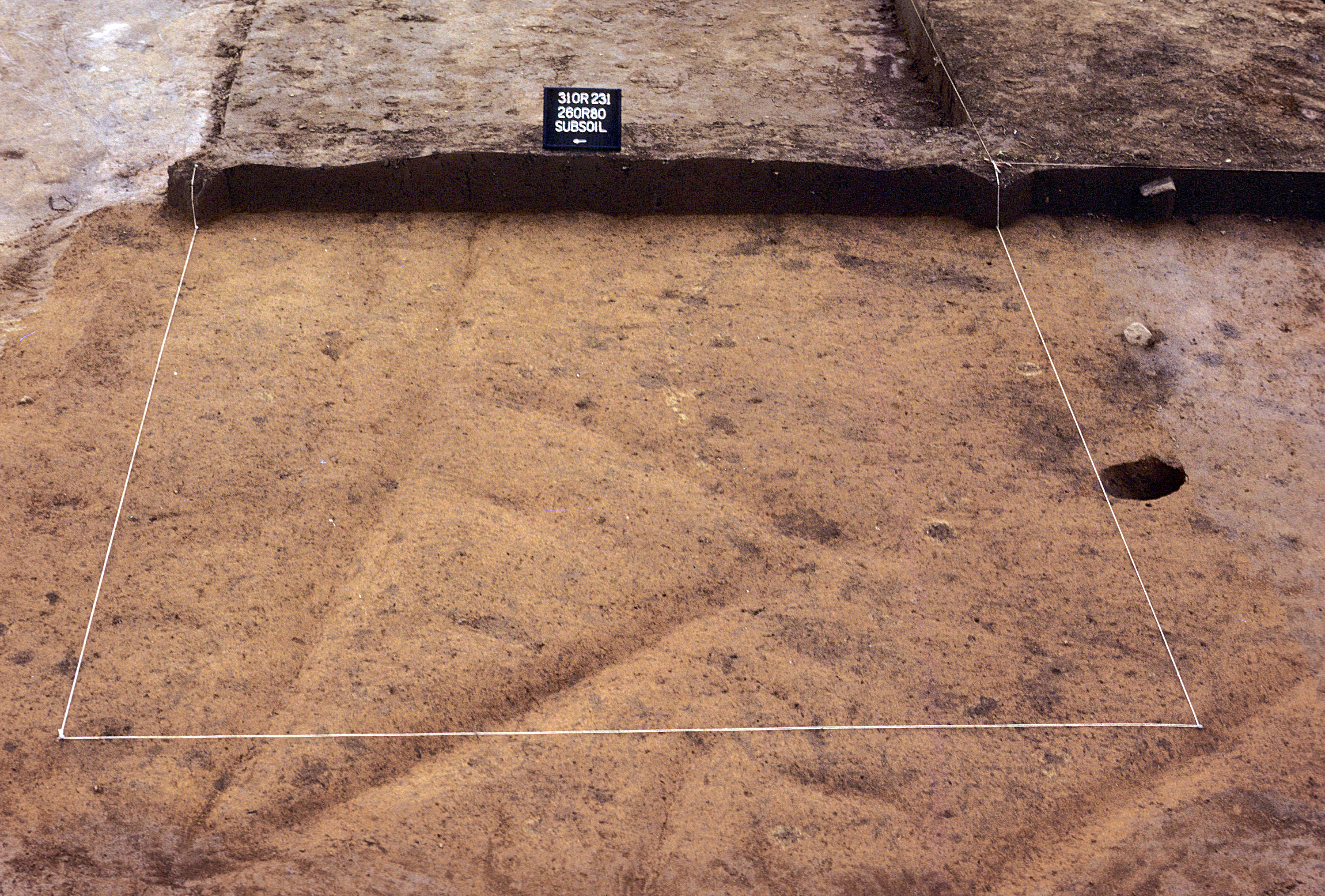 Figure 915. Sq. 260R80 at top of subsoil (view to east).