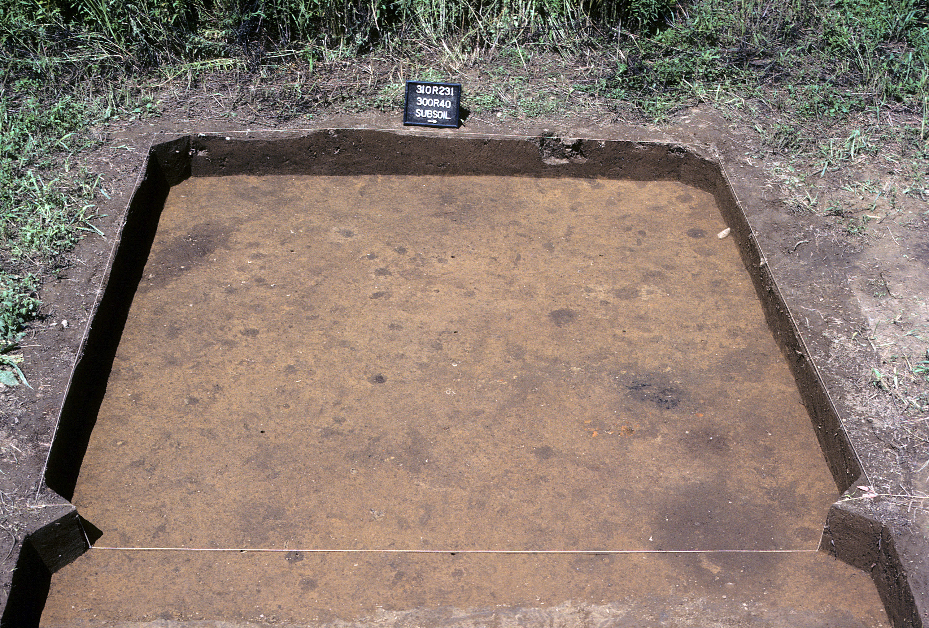 Figure 999. Sq. 300R40 at top of subsoil (view to west).