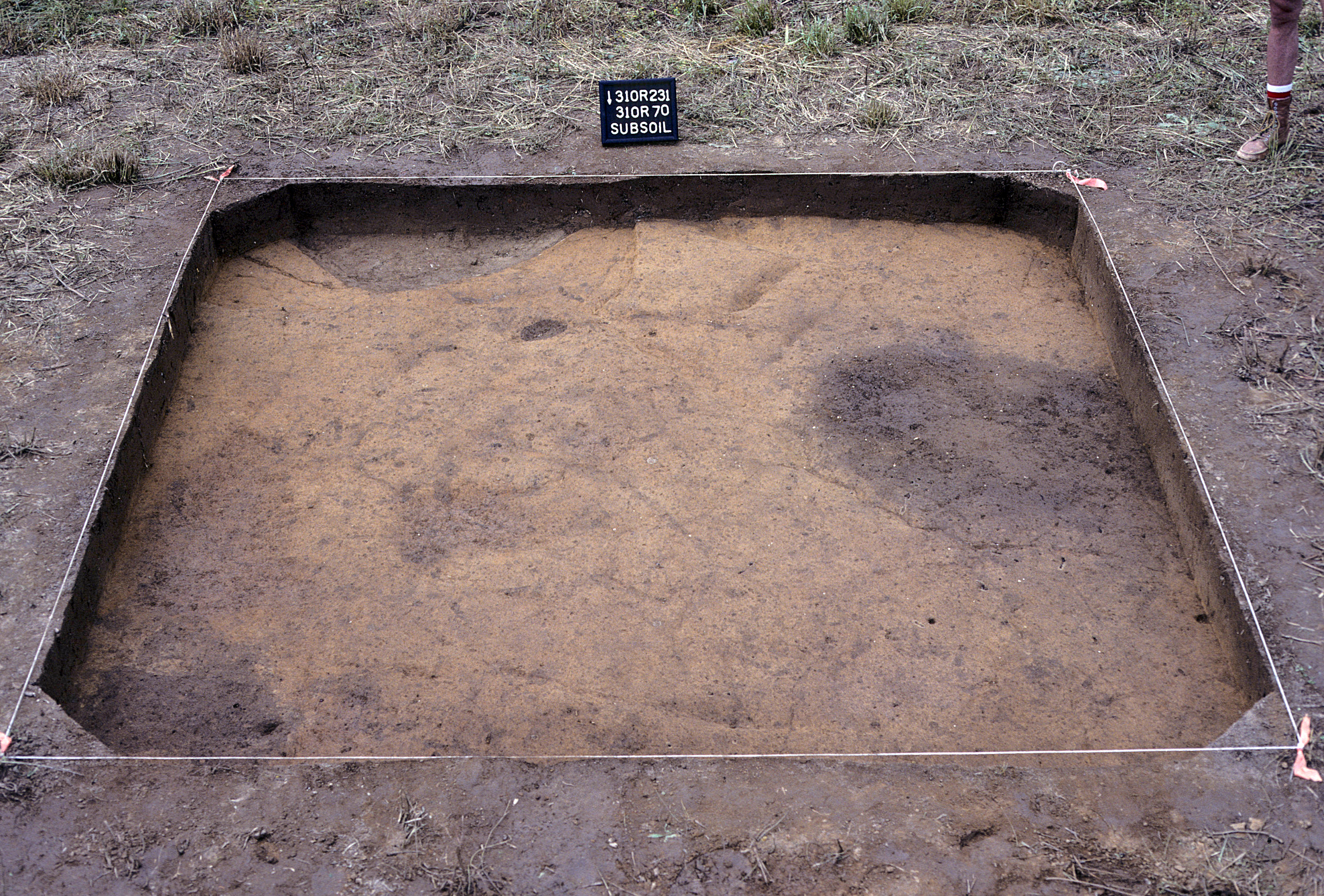 Figure 1023. Sq. 310R70 at top of subsoil (view to south).