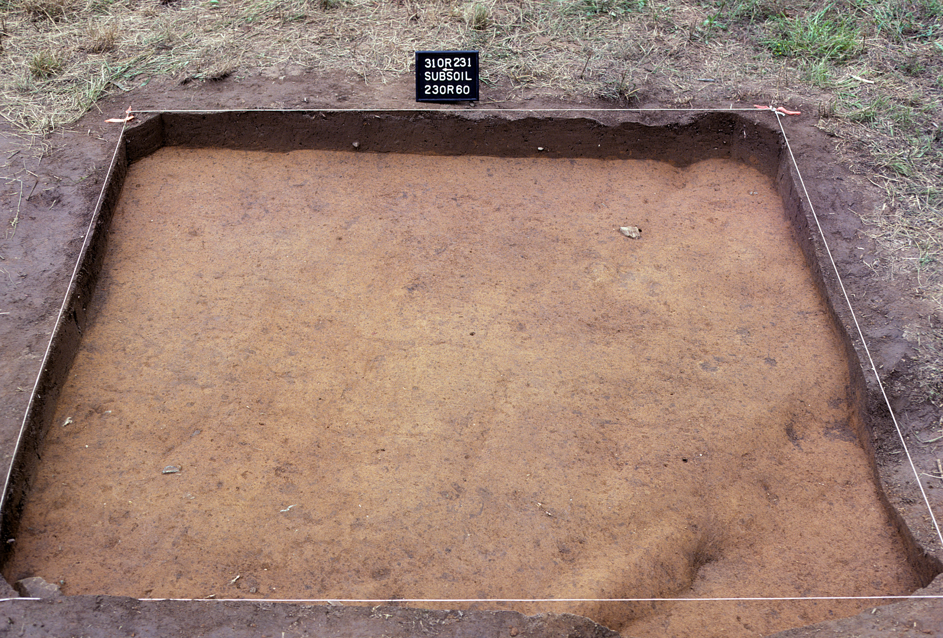Figure 833. Sq. 230R60 at top of subsoil (view to east).