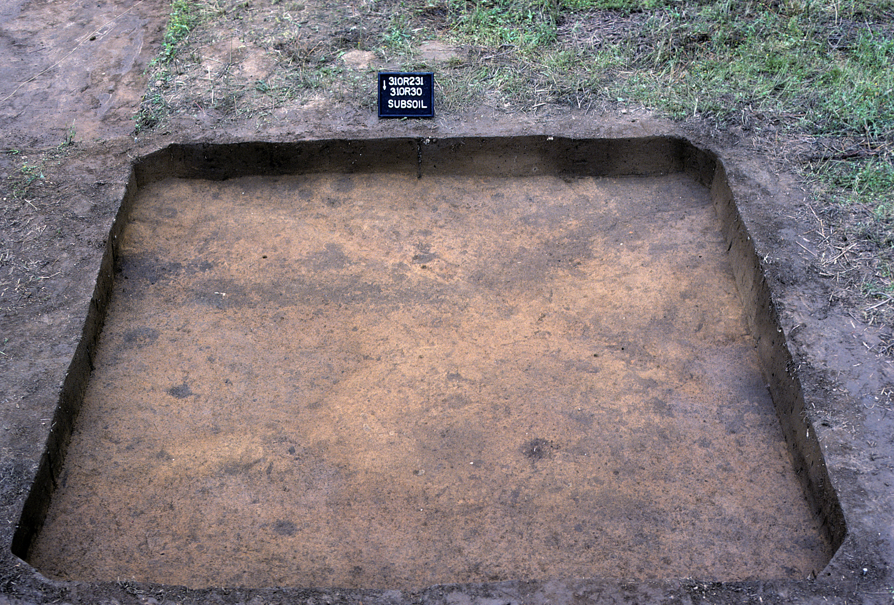 Figure 1015. Sq. 310R30 at top of subsoil (view to south).
