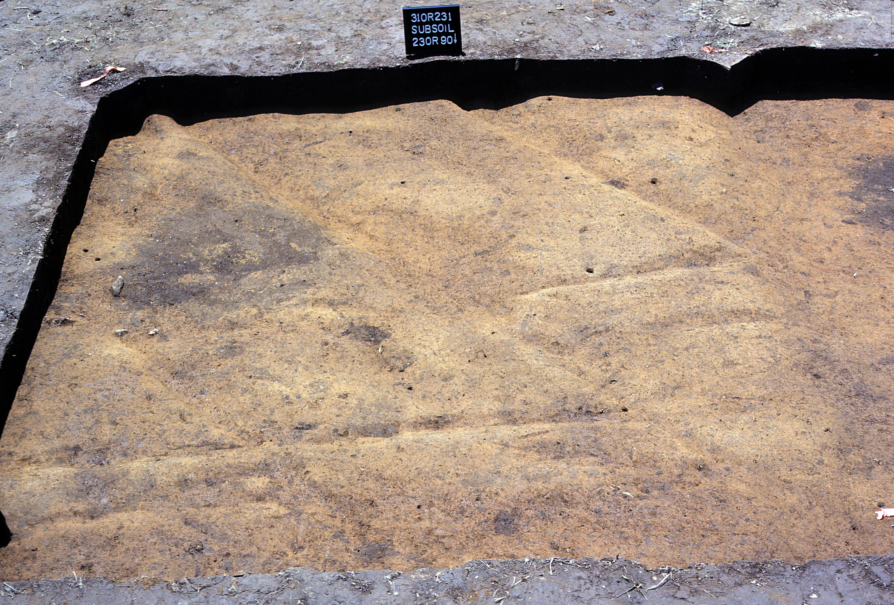 Figure 839. Sq. 230R90 at top of subsoil (view to south).