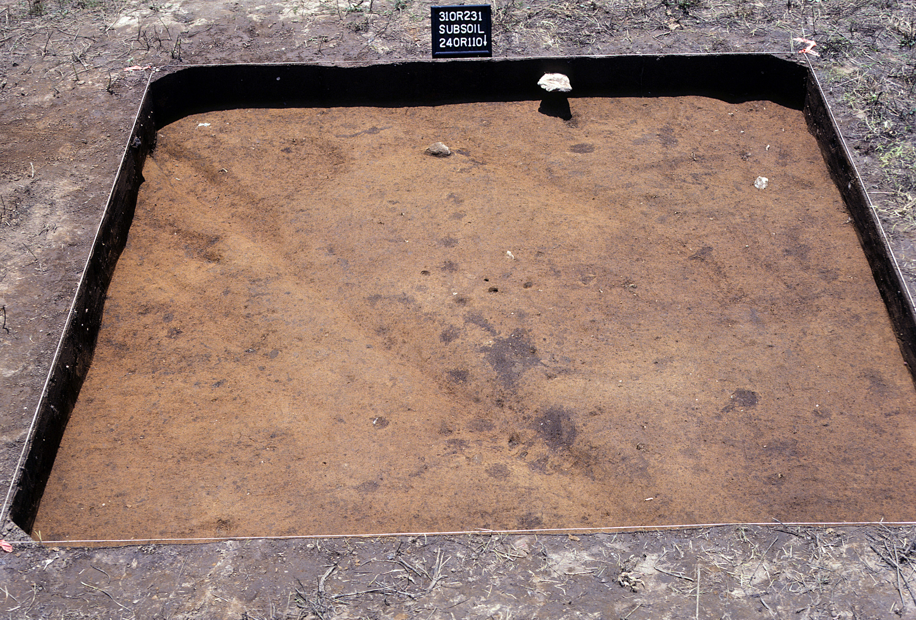 Figure 849. Sq. 240R110 at top of subsoil (view to south).