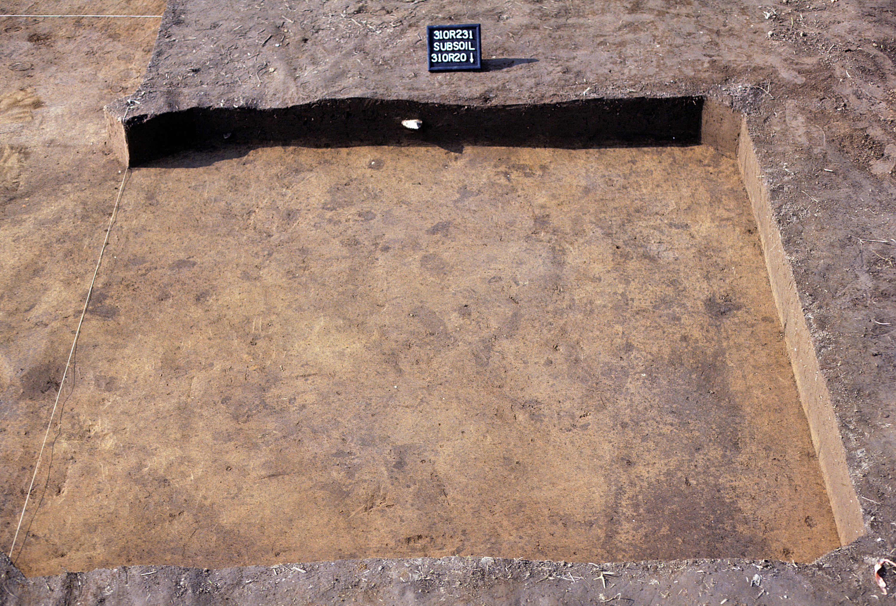 Figure 1013. Sq. 310R20 at top of subsoil (view to south).