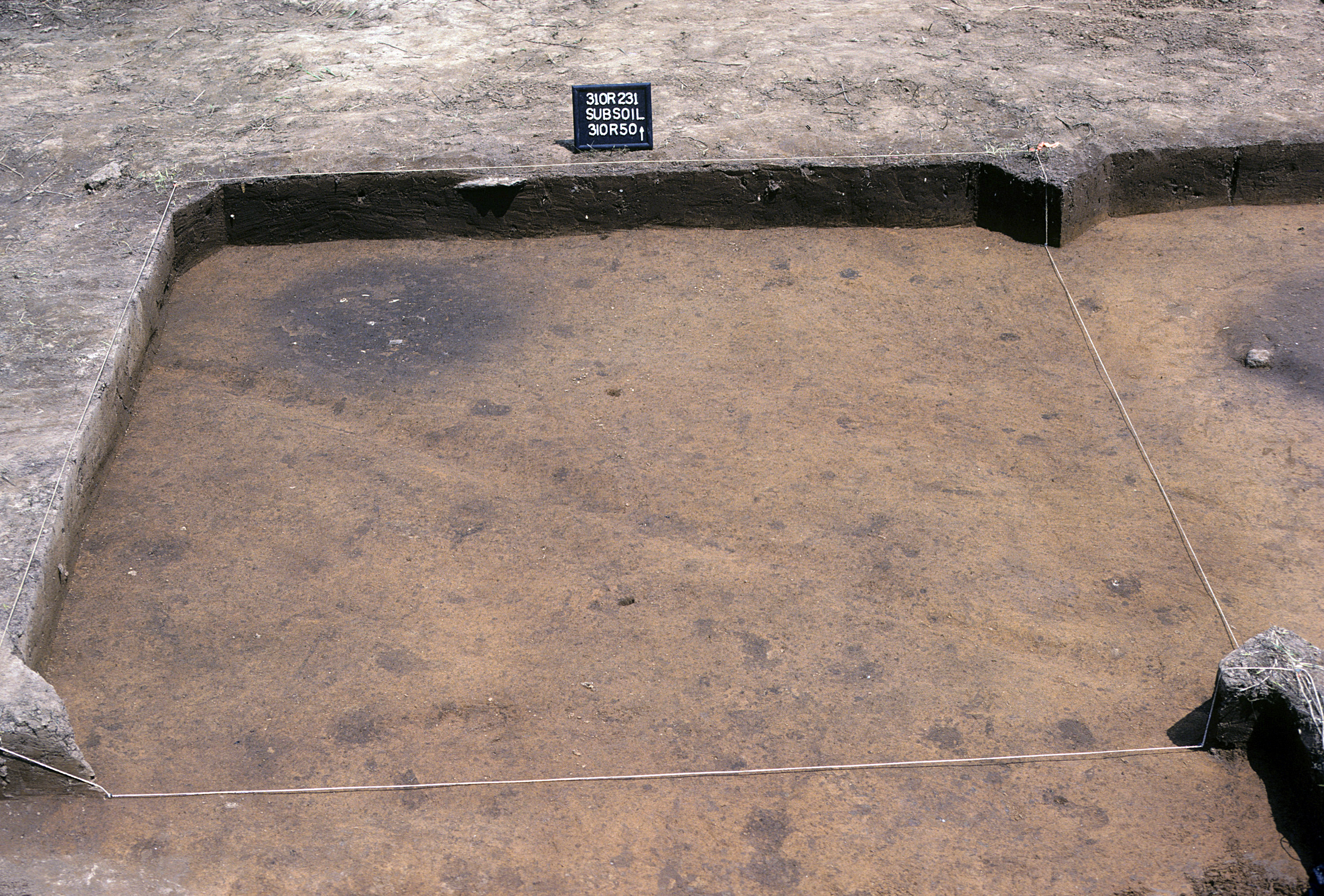 Figure 1019. Sq. 310R50 at top of subsoil (view to north).