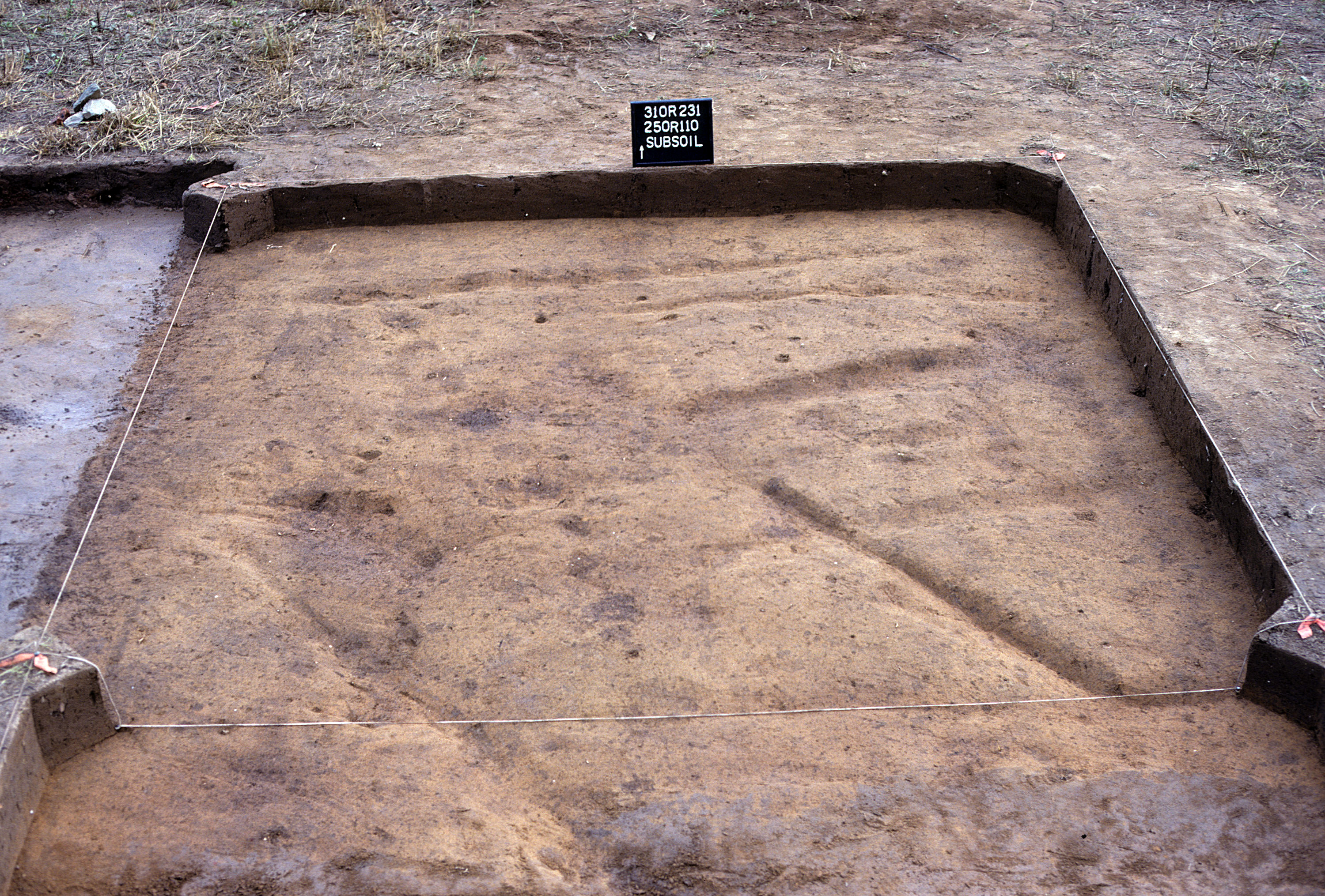 Figure 875. Sq. 250R110 at top of subsoil (view to north).