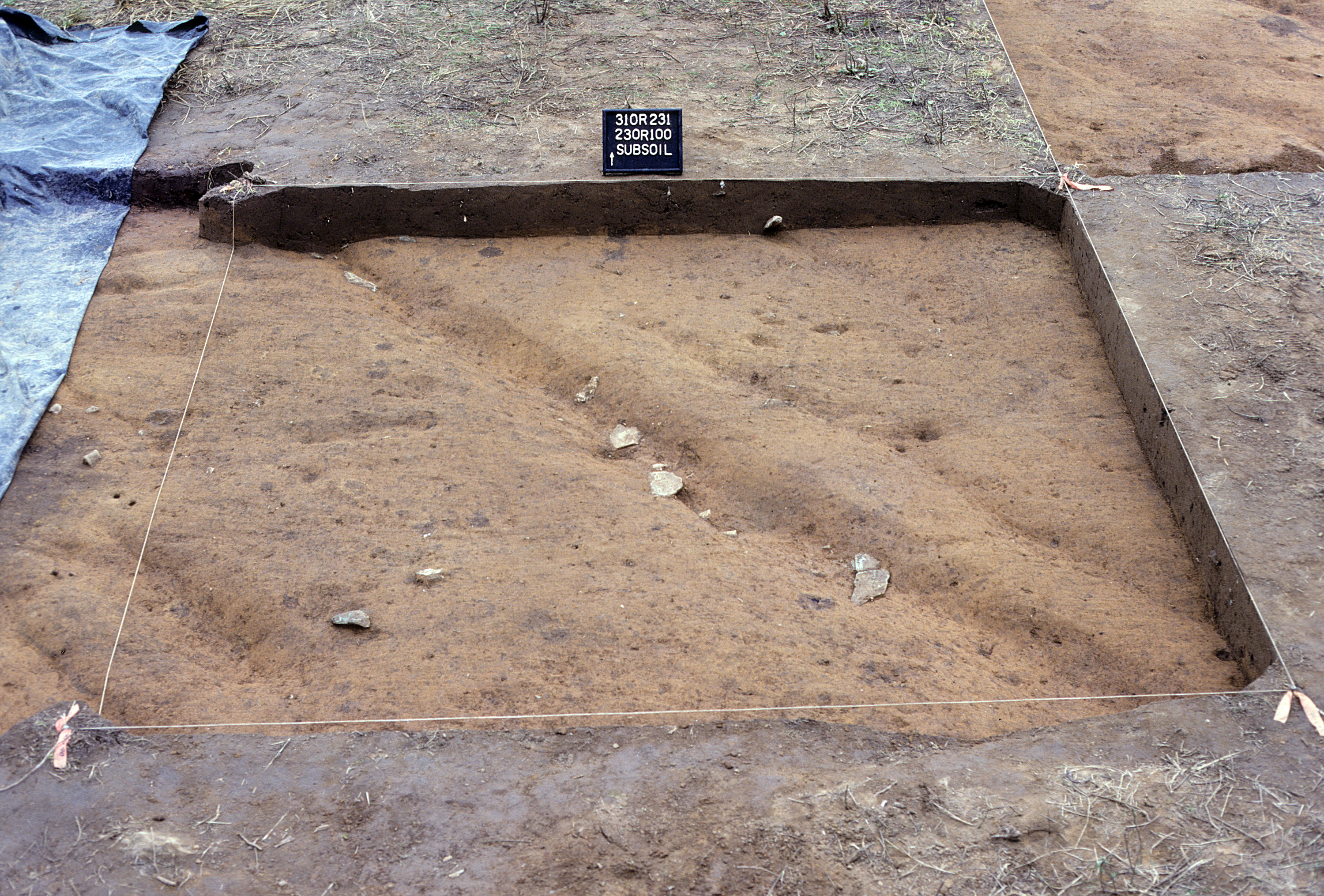 Figure 821. Sq. 230R100 at top of subsoil (view to north).