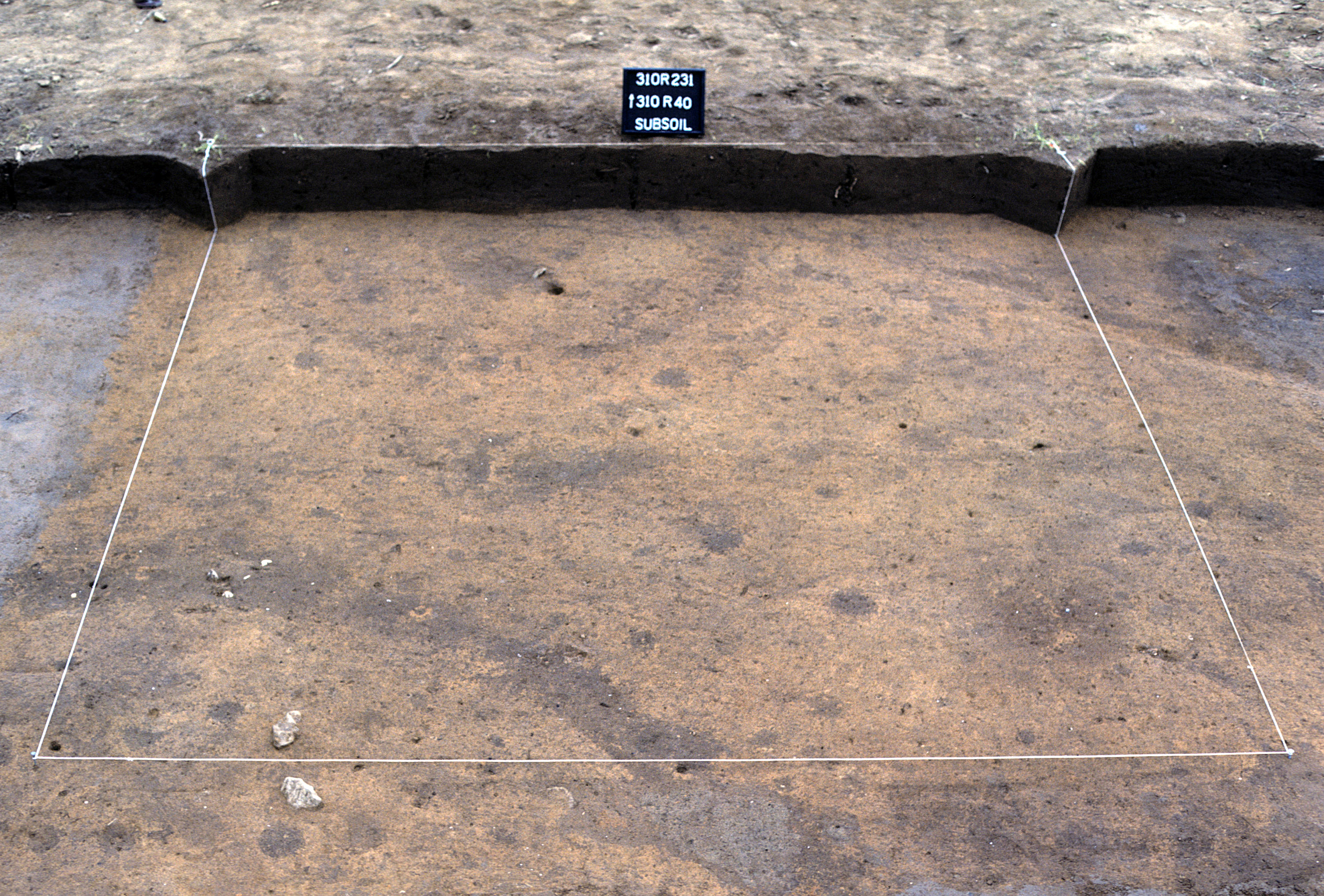 Figure 1017. Sq. 310R40 at top of subsoil (view to north).