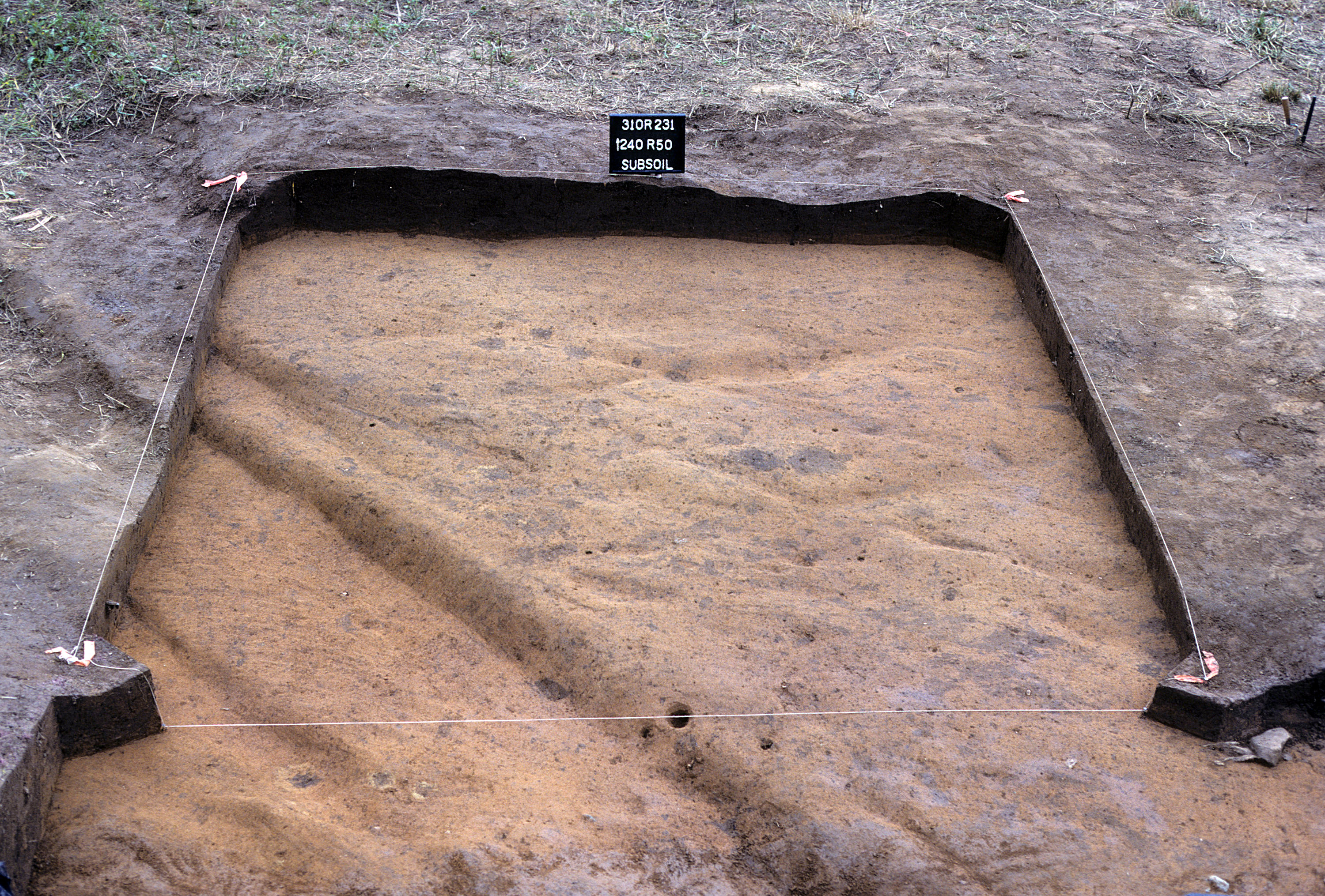 Figure 857. Sq. 240R50 at top of subsoil (view to north).