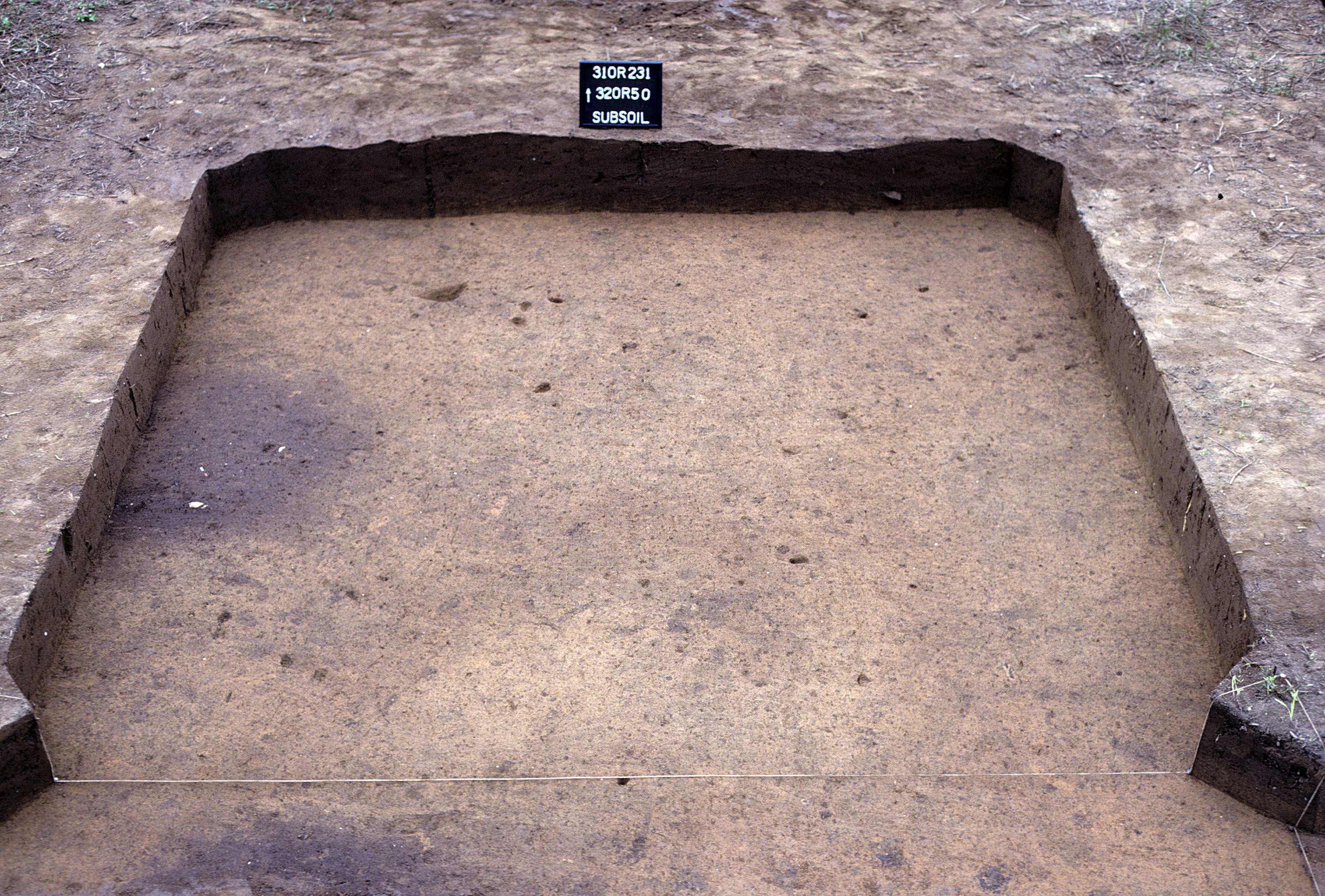 Figure 1029. Sq. 320R50 at top of subsoil (view to north).