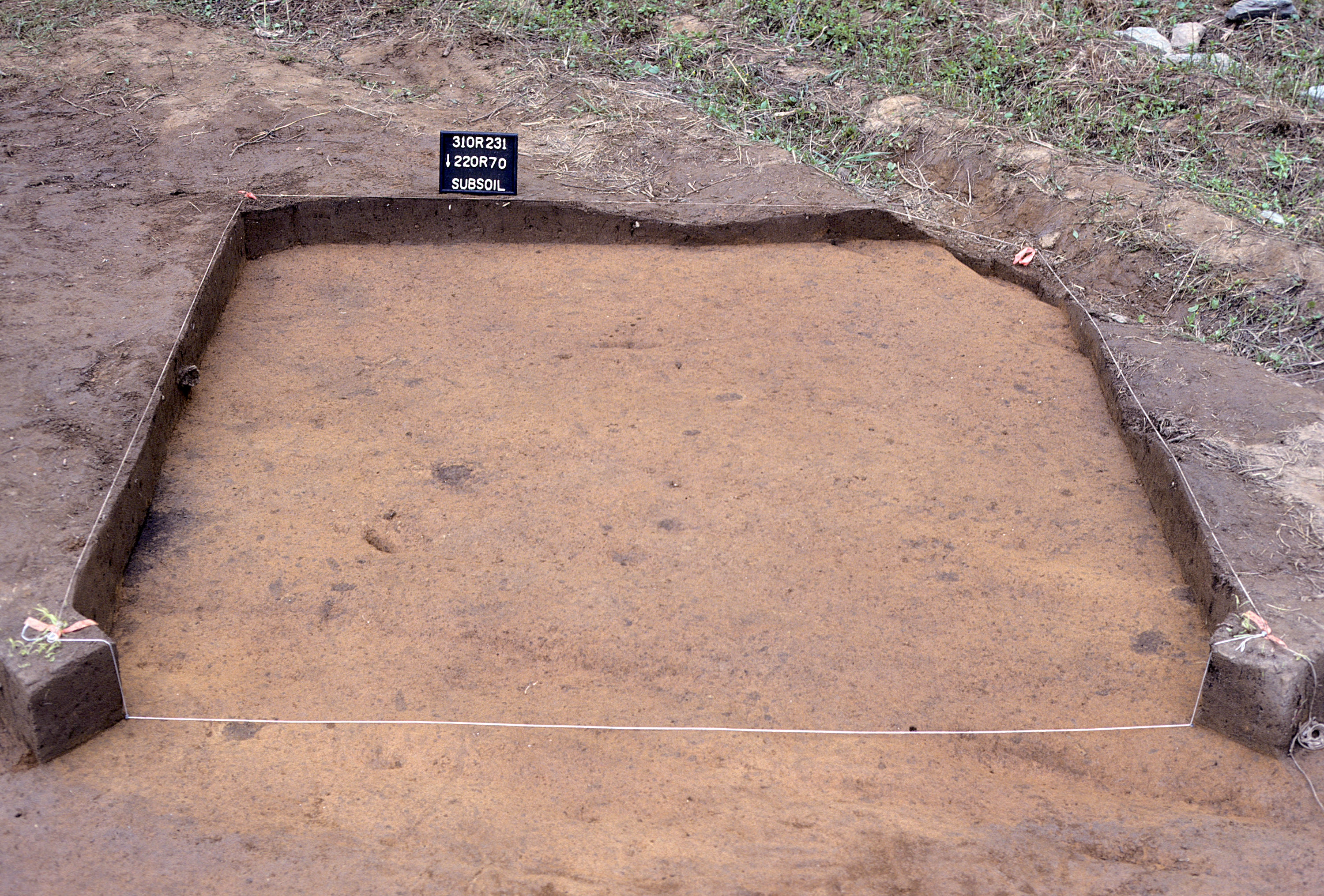 Figure 809. Sq. 220R70 at top of subsoil (view to south).