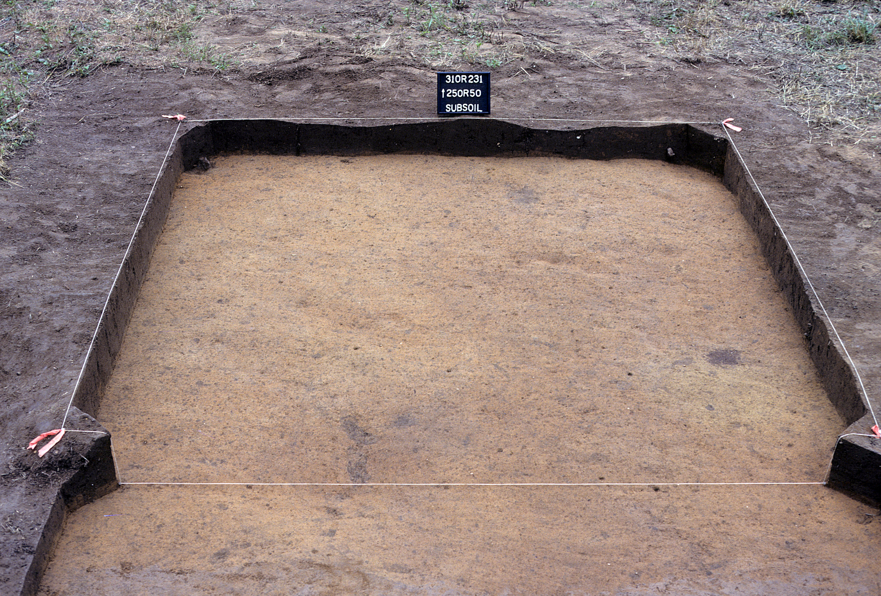 Figure 883. Sq. 250R50 at top of subsoil (view to north).