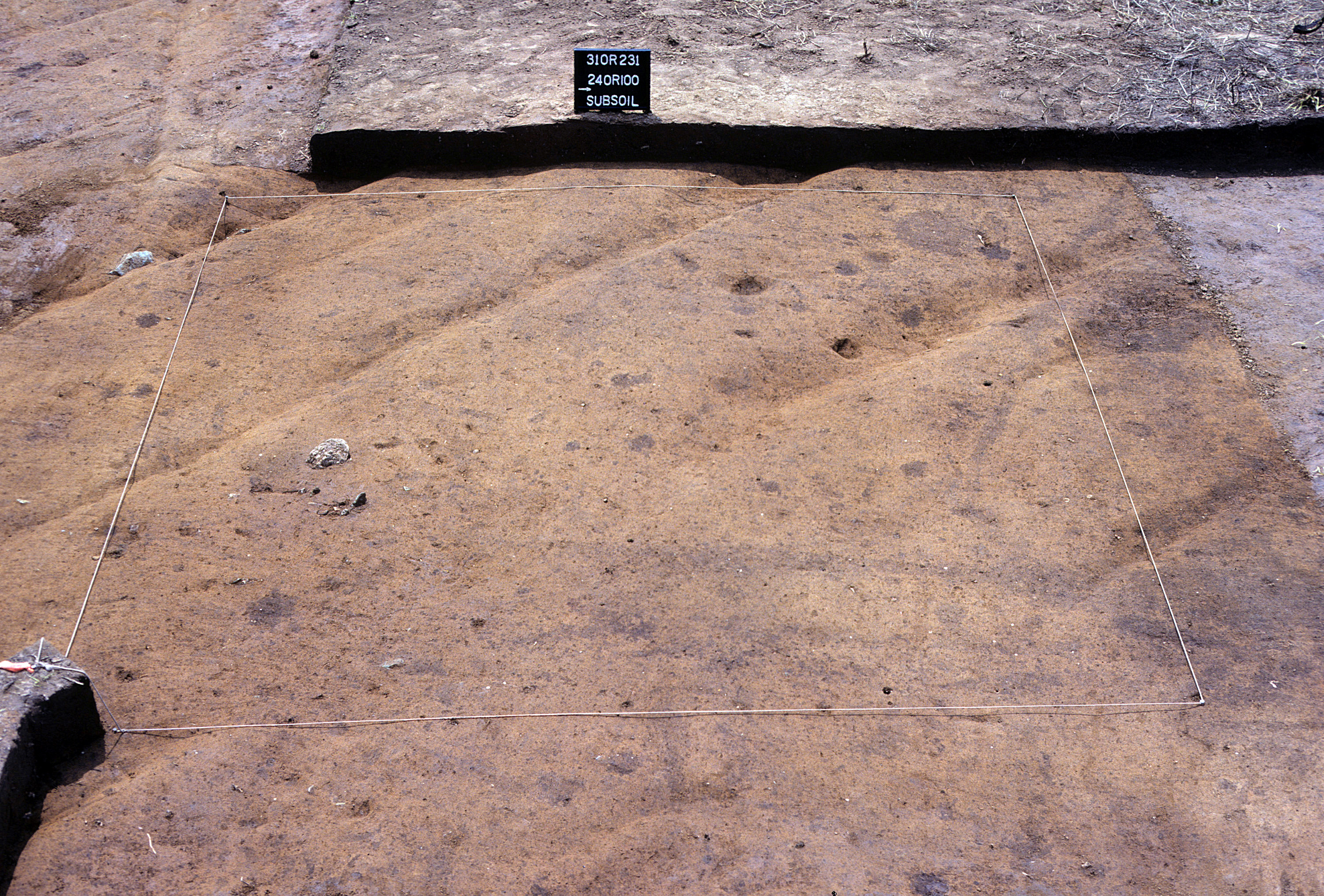Figure 847. Sq. 240R100 at top of subsoil (view to west).