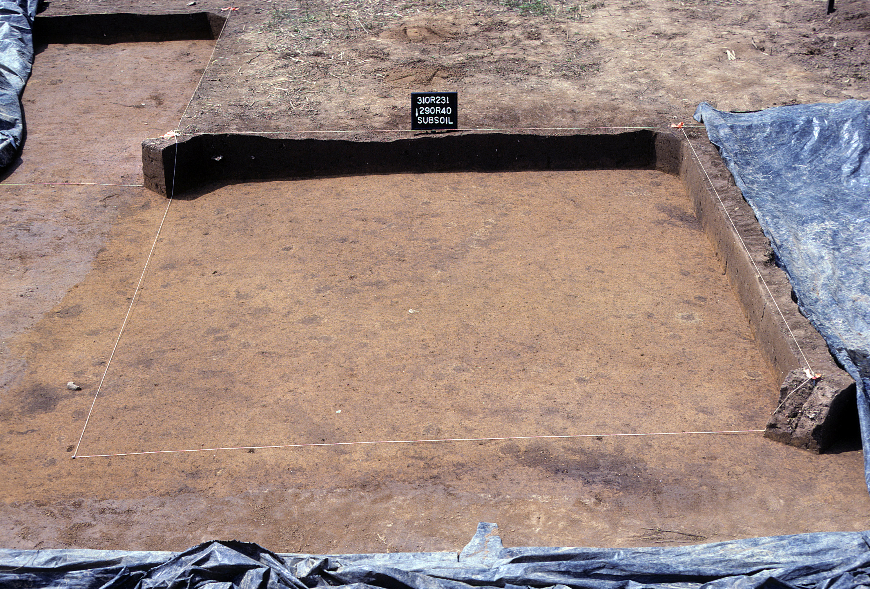 Figure 979. Sq. 290R40 at top of subsoil (view to south).