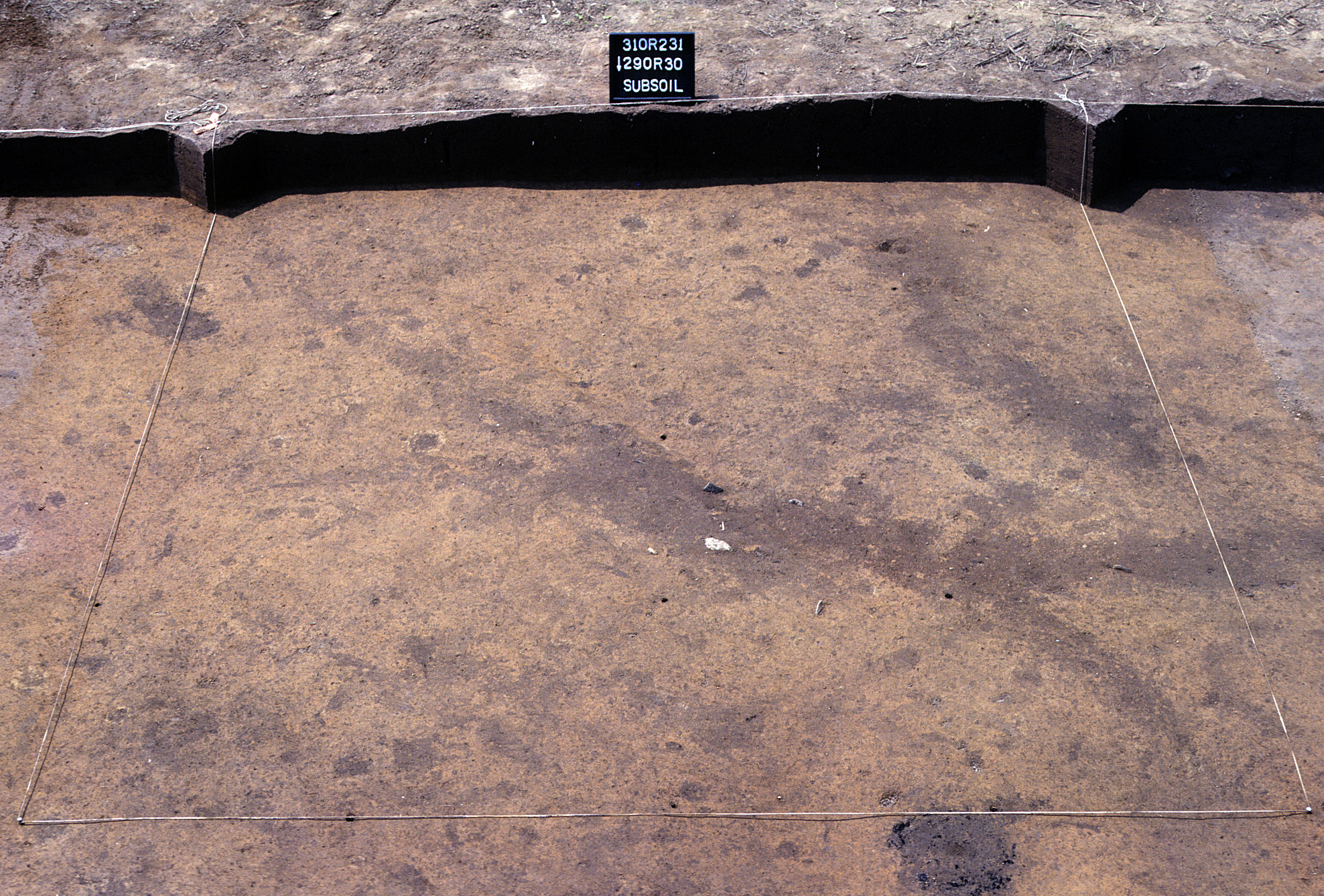 Figure 977. Sq. 290R30 at top of subsoil (view to south).