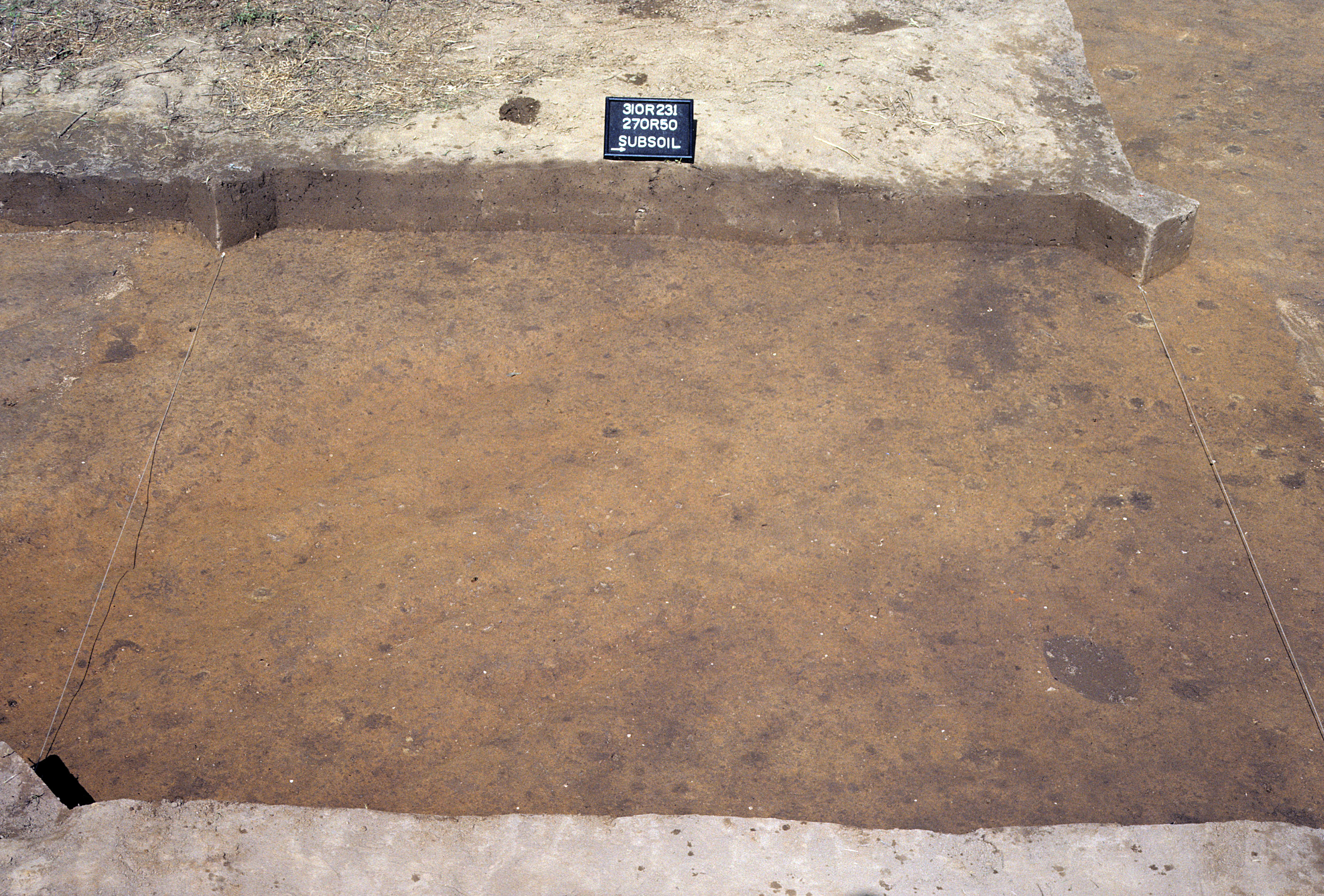 Figure 935. Sq. 270R50 at top of subsoil (view to west).