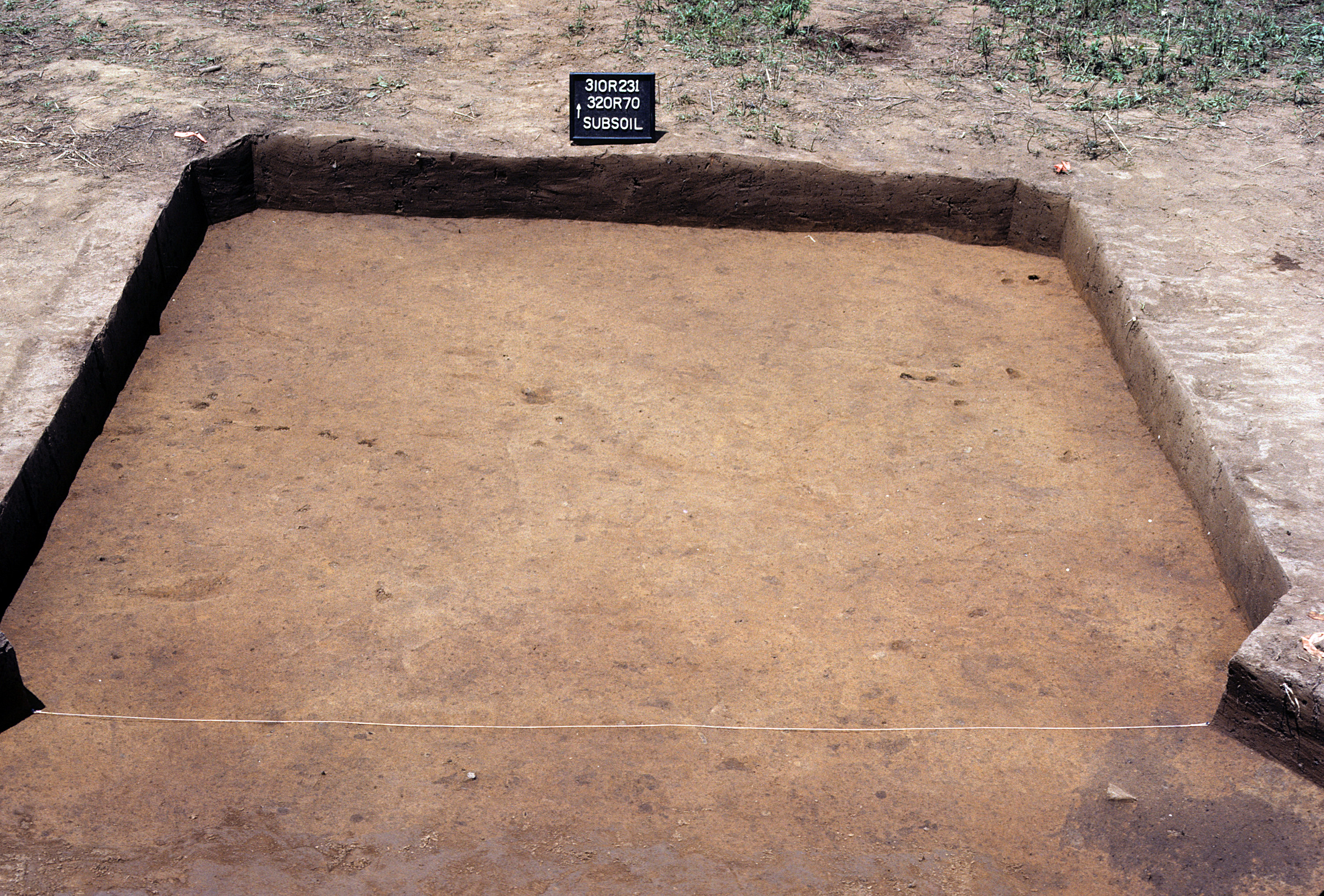 Figure 1033. Sq. 320R70 at top of subsoil (view to north).