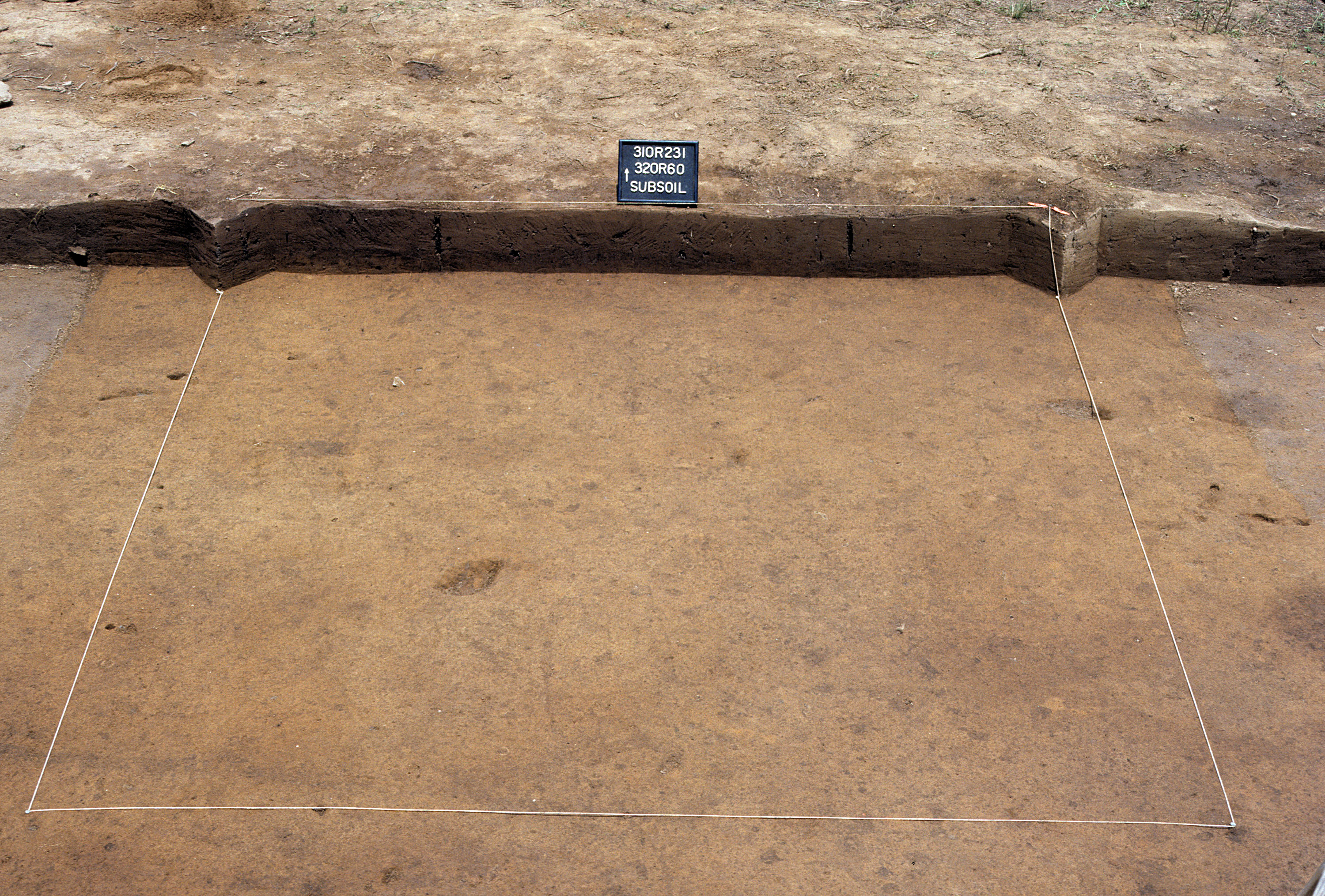 Figure 1031. Sq. 320R60 at top of subsoil (view to north).