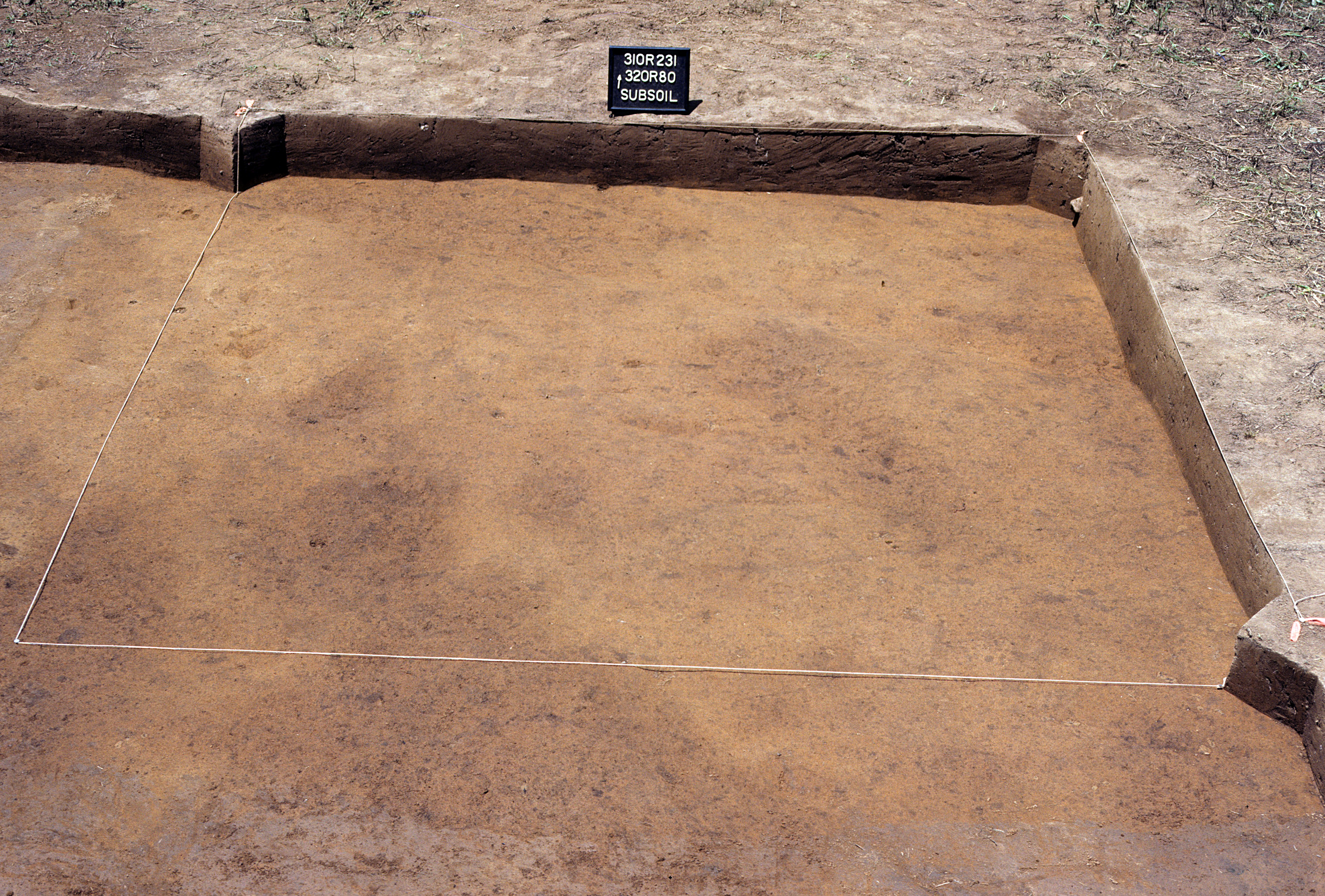 Figure 1035. Sq. 320R80 at top of subsoil (view to north).