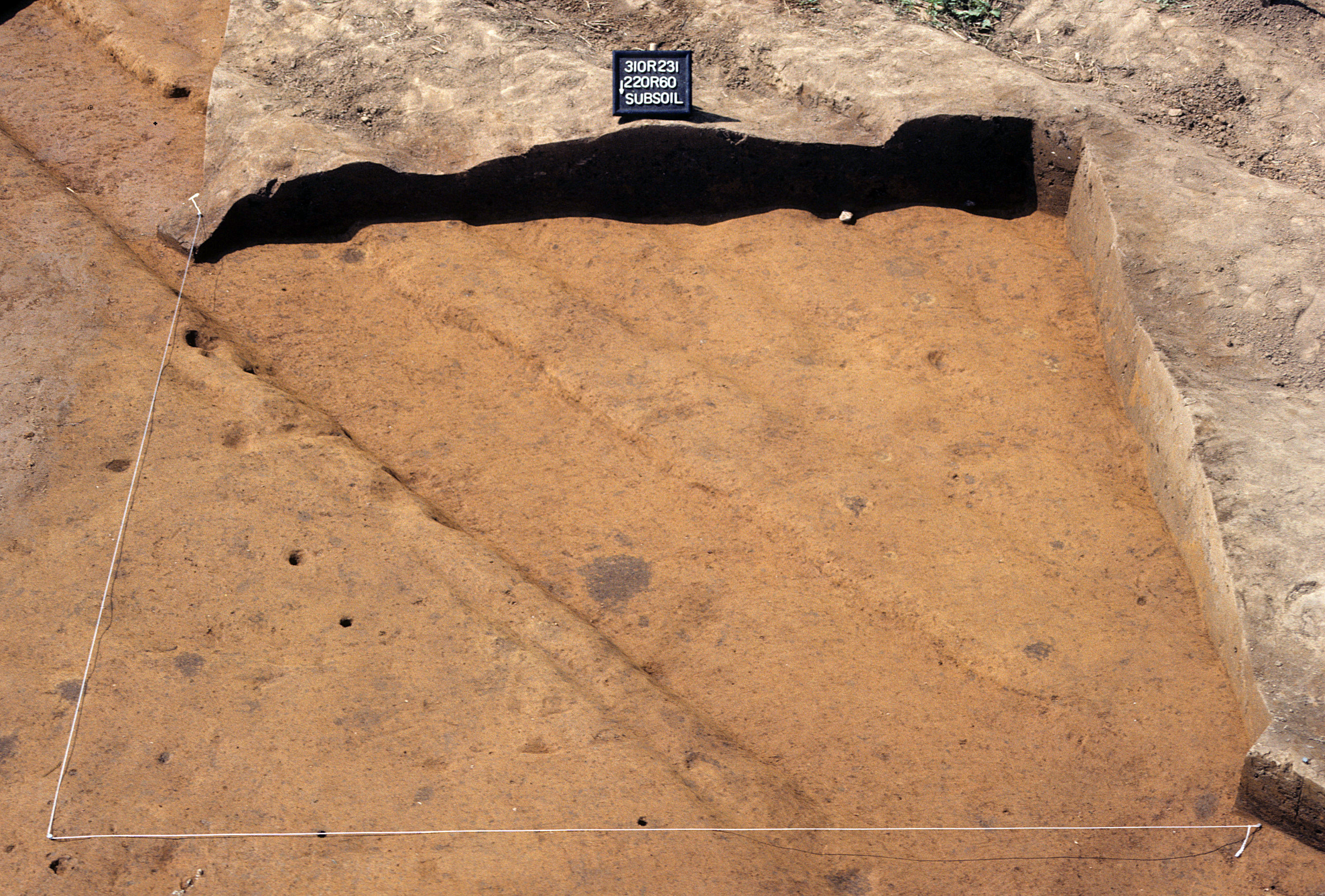 Figure 807. Sq. 220R60 at top of subsoil (view to south).