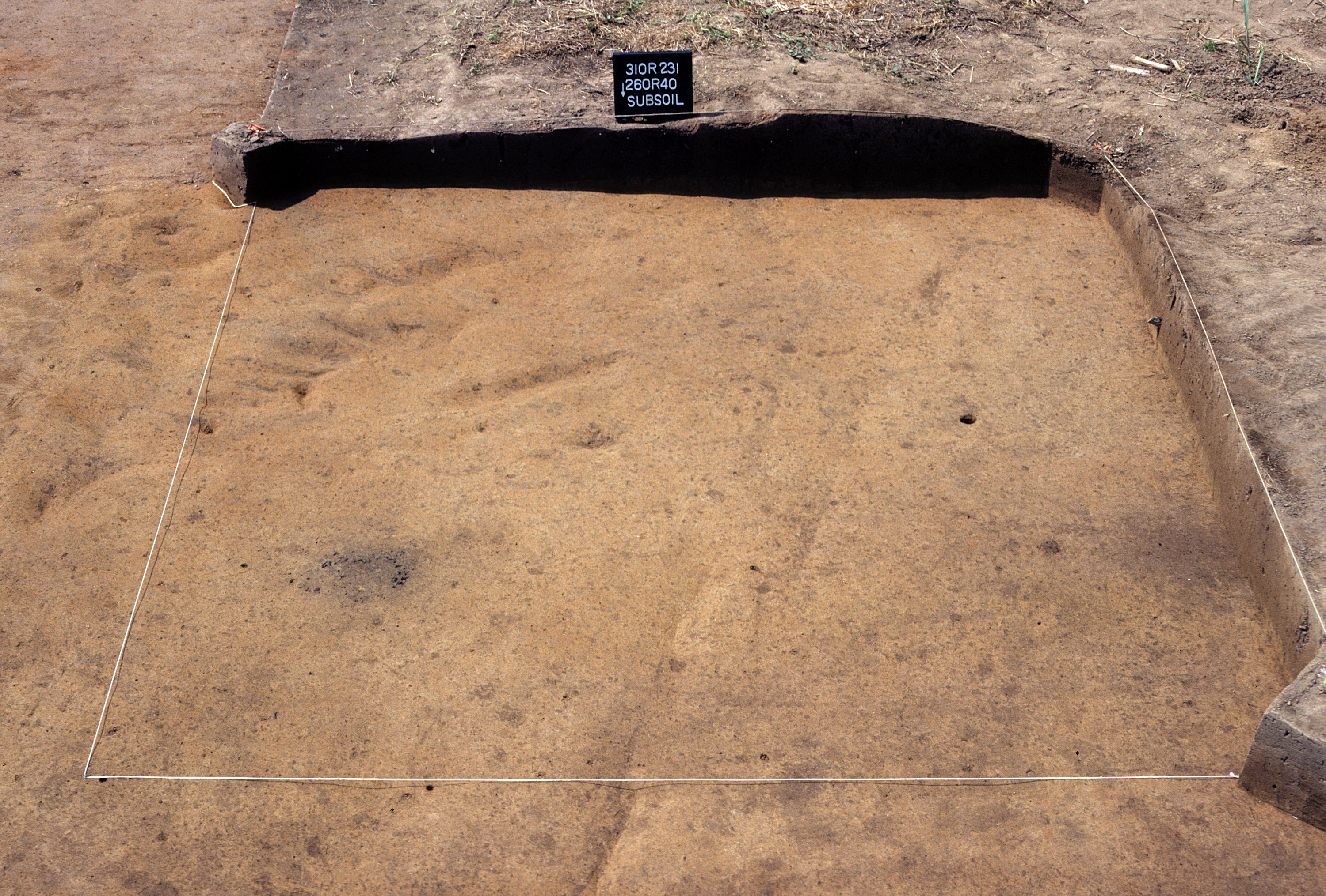 Figure 907. Sq. 260R40 at top of subsoil (view to south).