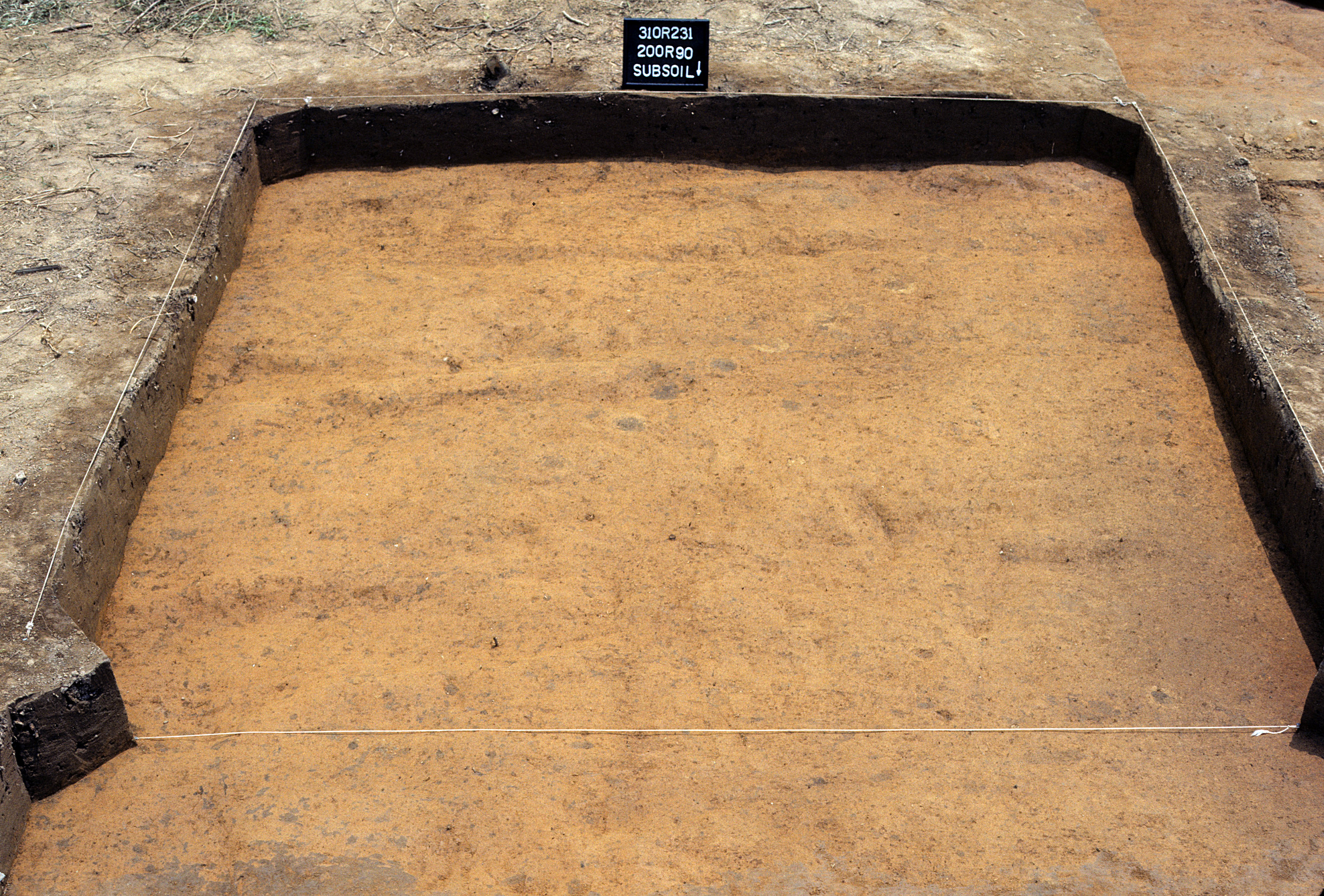 Figure 764. Sq. 200R90 at top of subsoil (view to south).