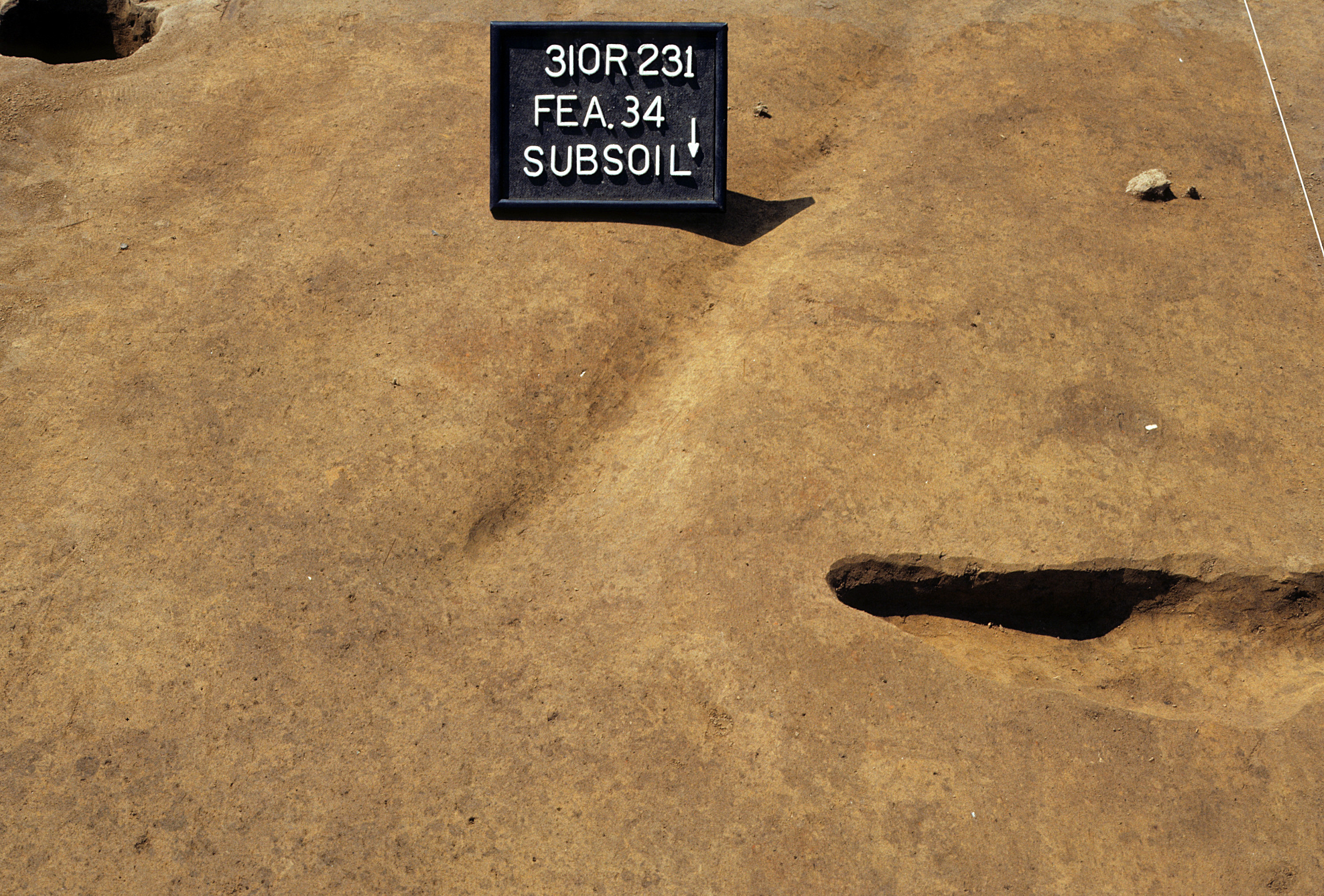 Figure 614. Feature 34 at top of subsoil (view to south).