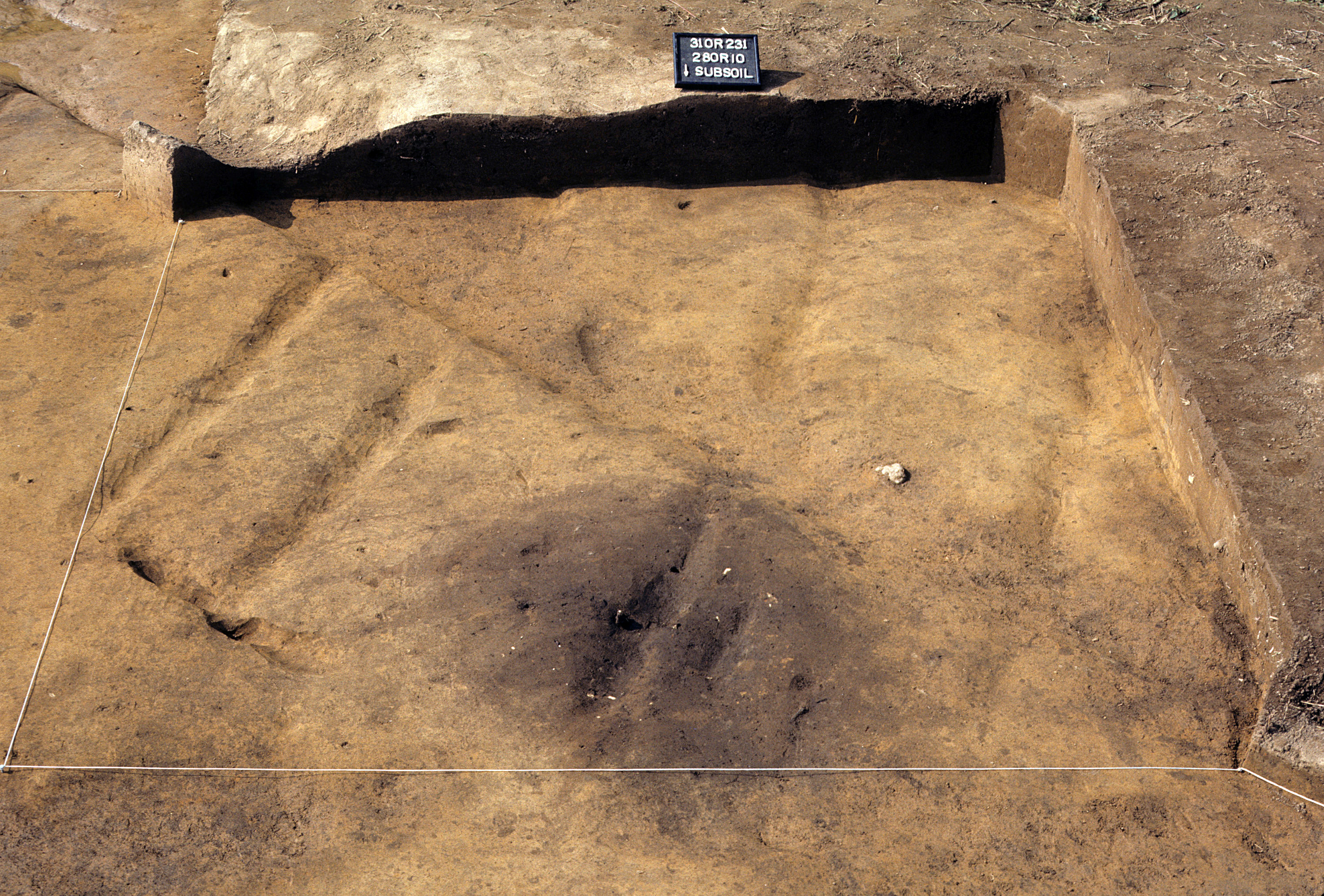 Figure 948. Sq. 280R10 at top of subsoil (view to south).