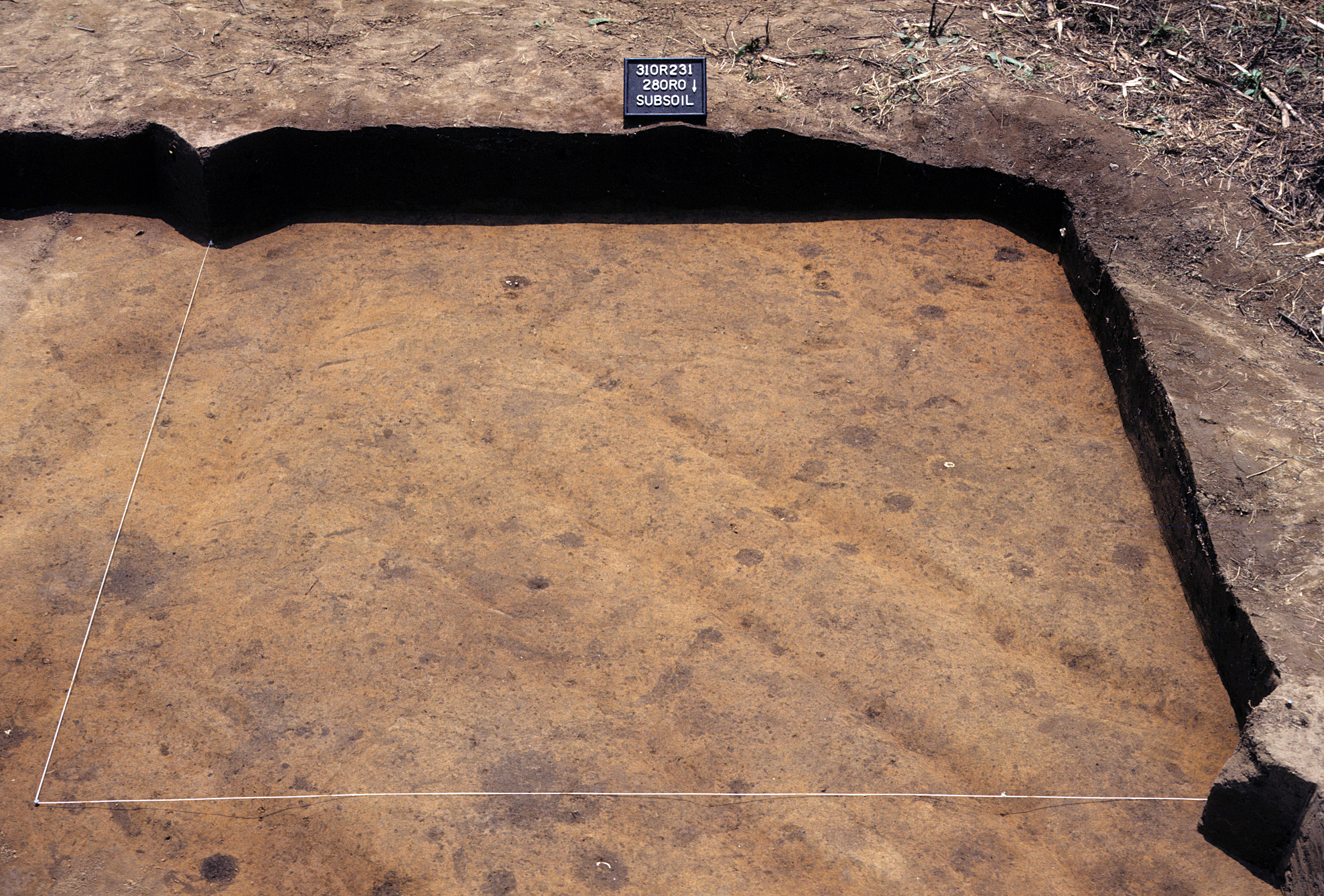 Figure 946. Sq. 280R0 at top of subsoil (view to south).