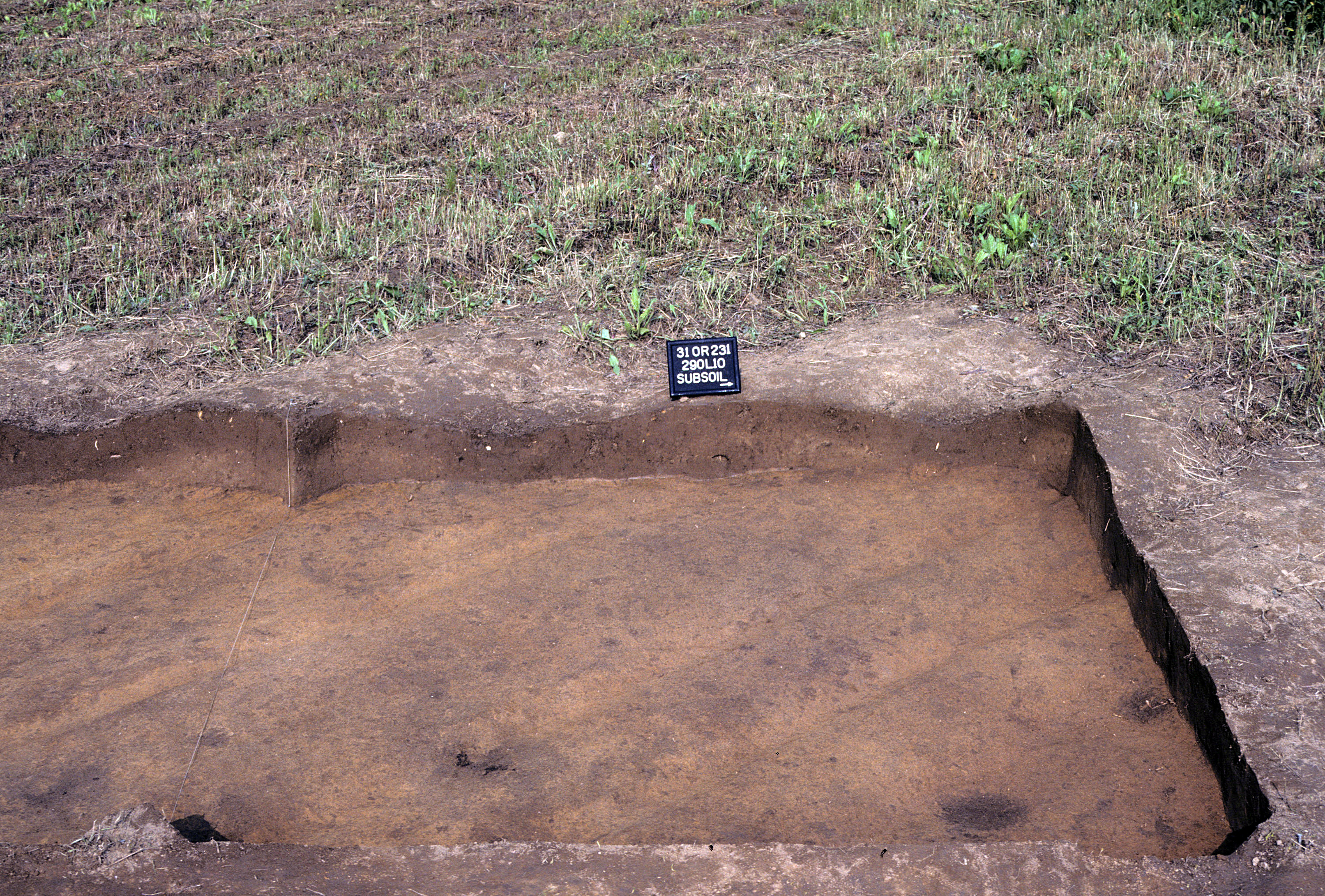 Figure 967. Sq. 290L10 at top of subsoil (view to west).