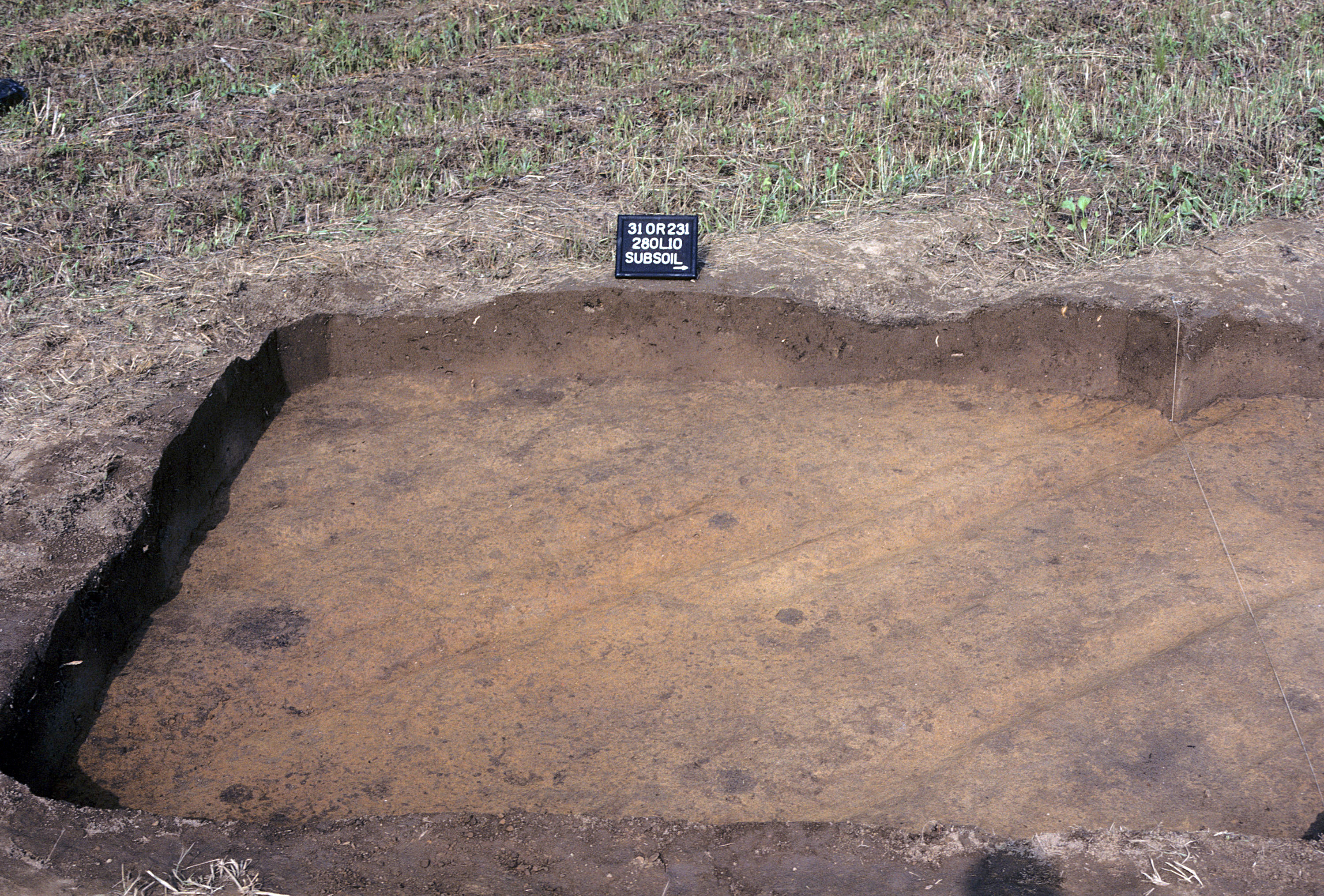 Figure 944. Sq. 280L10 at top of subsoil (view to west).