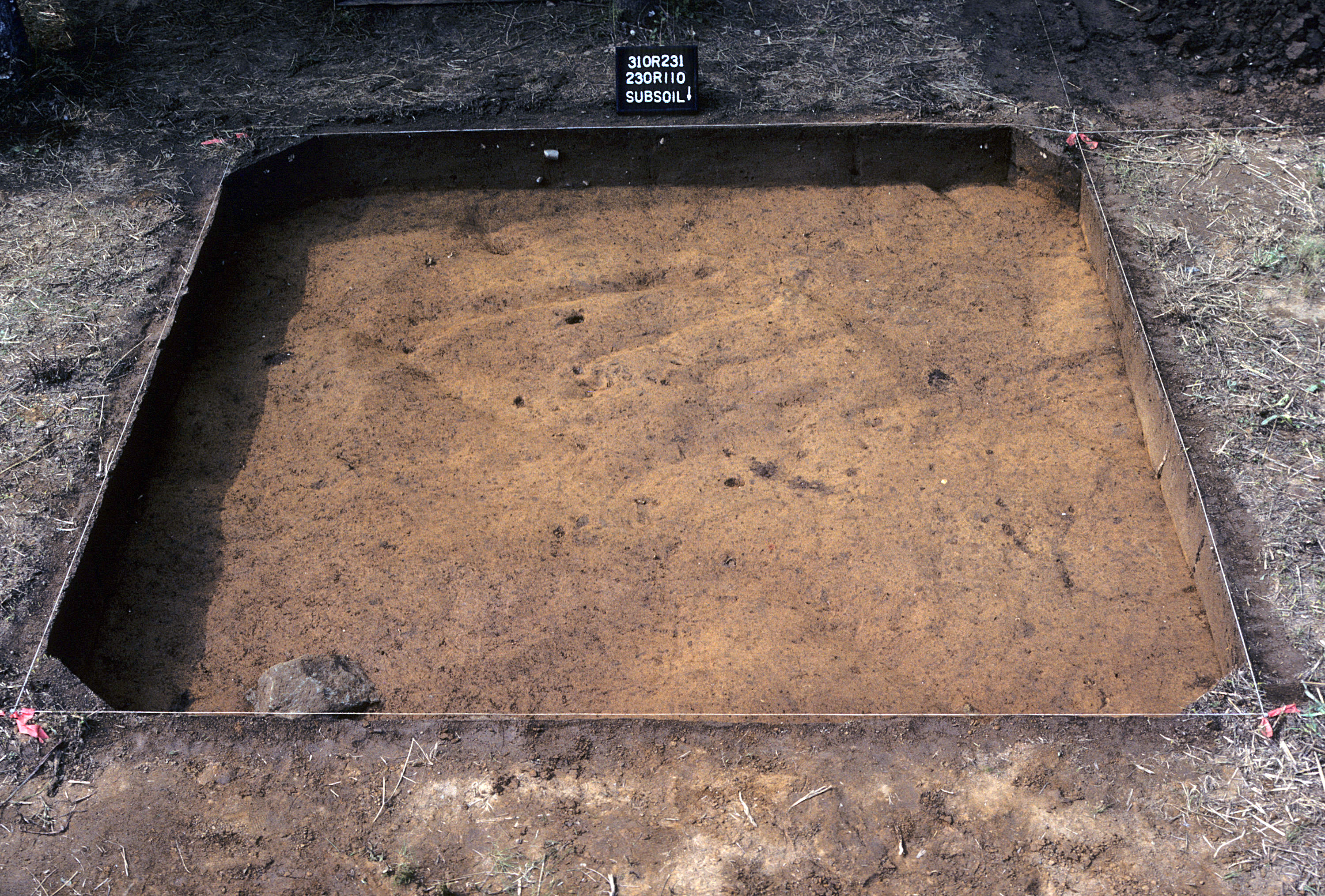Figure 823. Sq. 230R110 at top of subsoil (view to south).