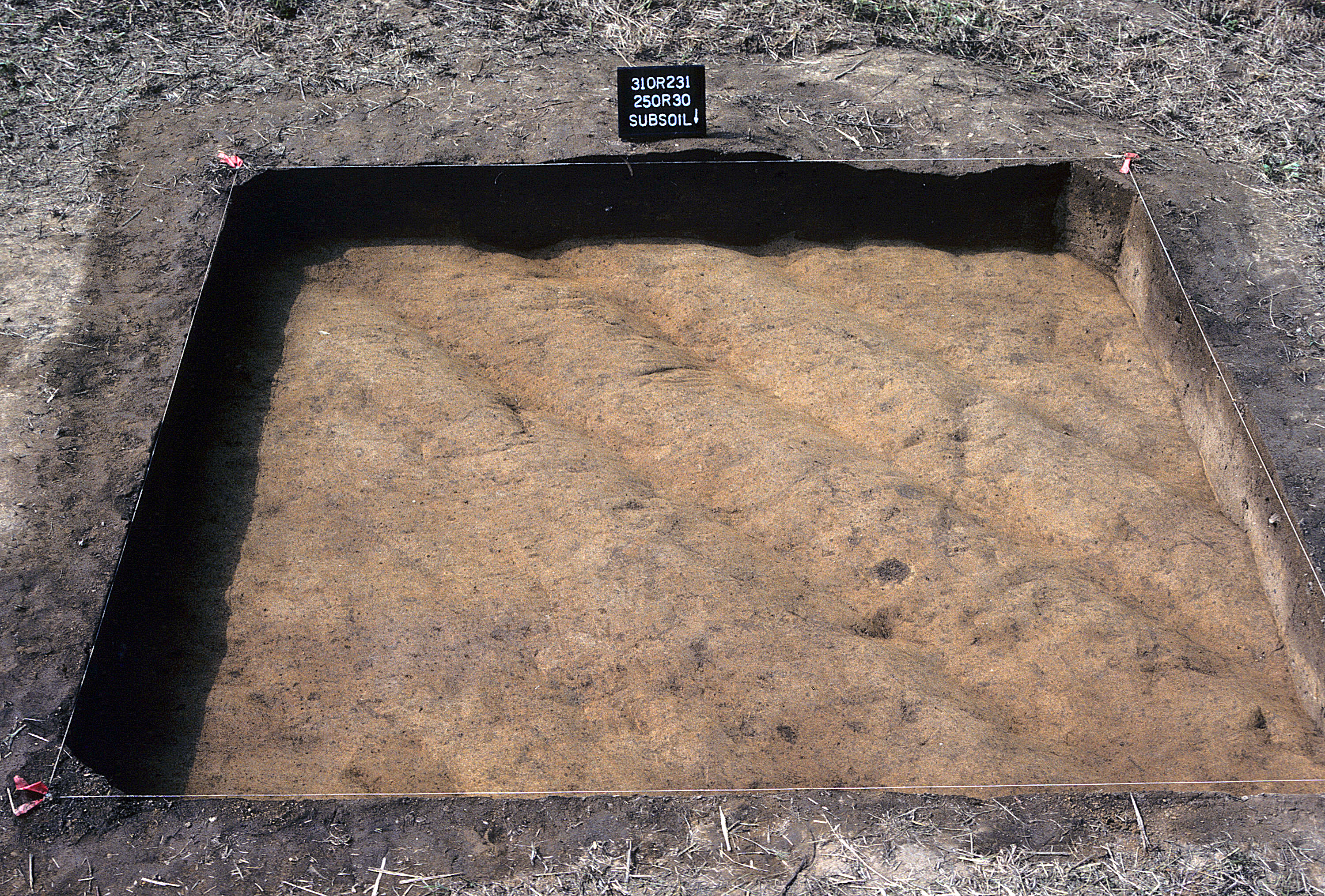 Figure 879. Sq. 250R30 at top of subsoil (view to south).