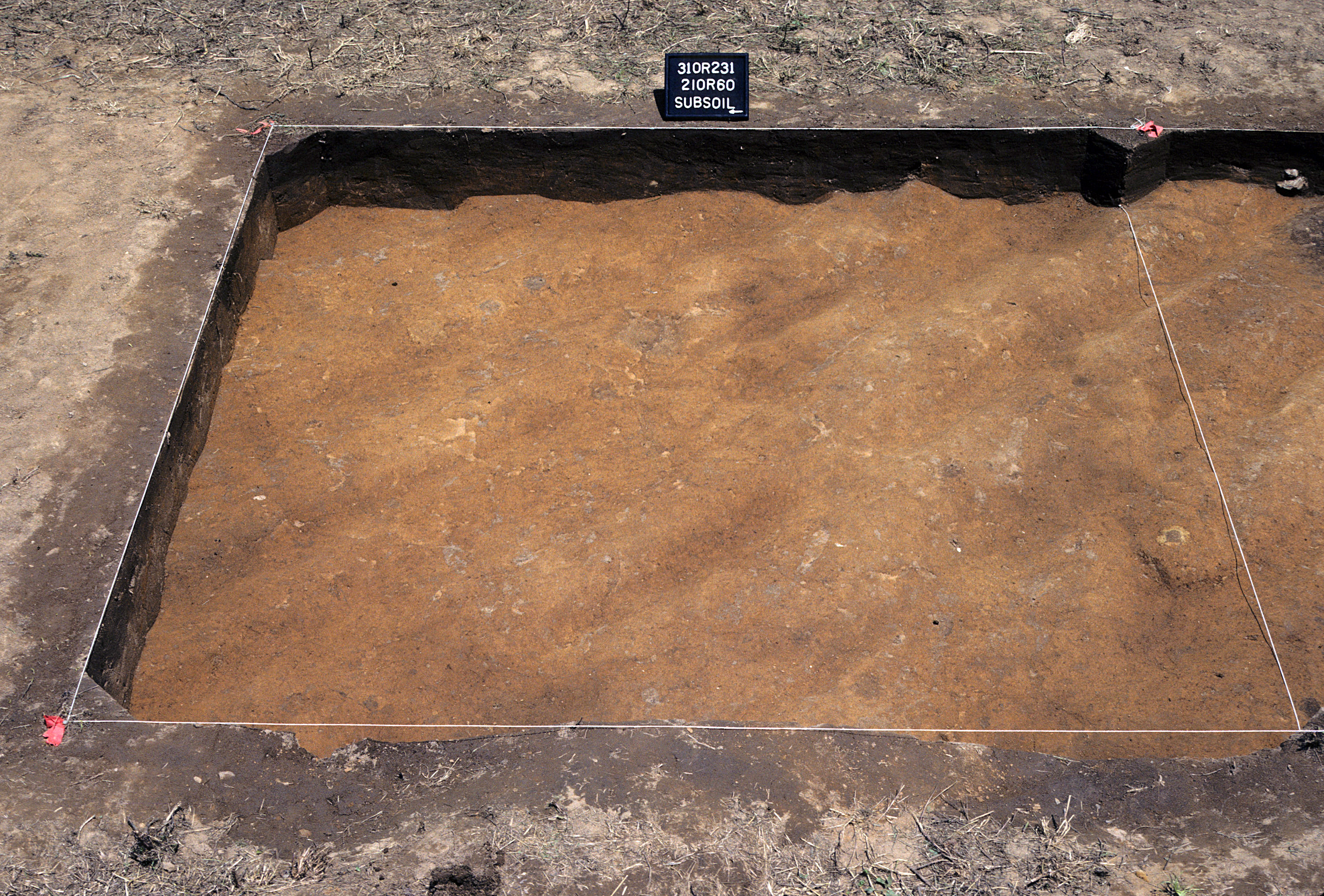 Figure 782. Sq. 210R60 at top of subsoil (view to east).