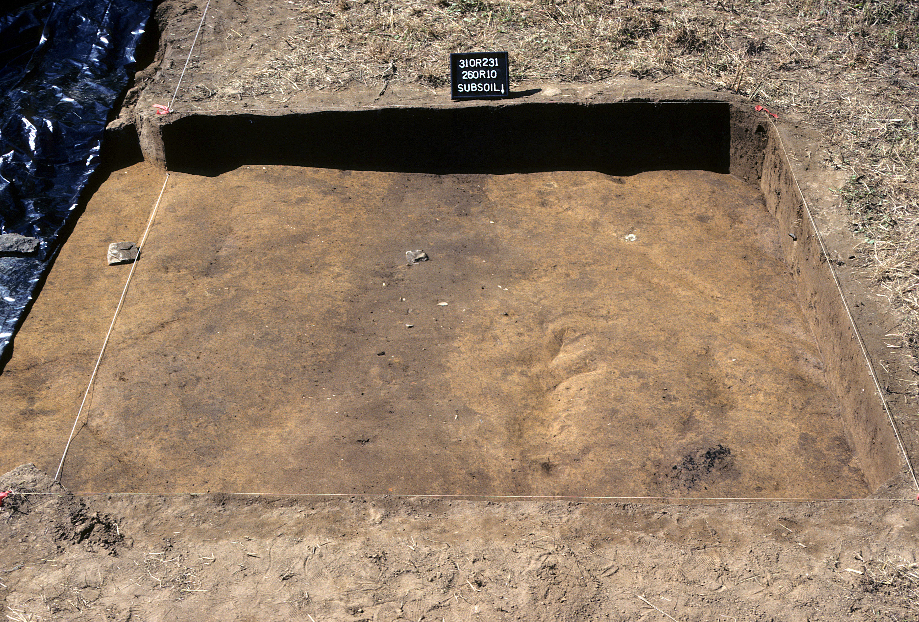 Figure 897. Sq. 260R10 at top of subsoil (view to south).